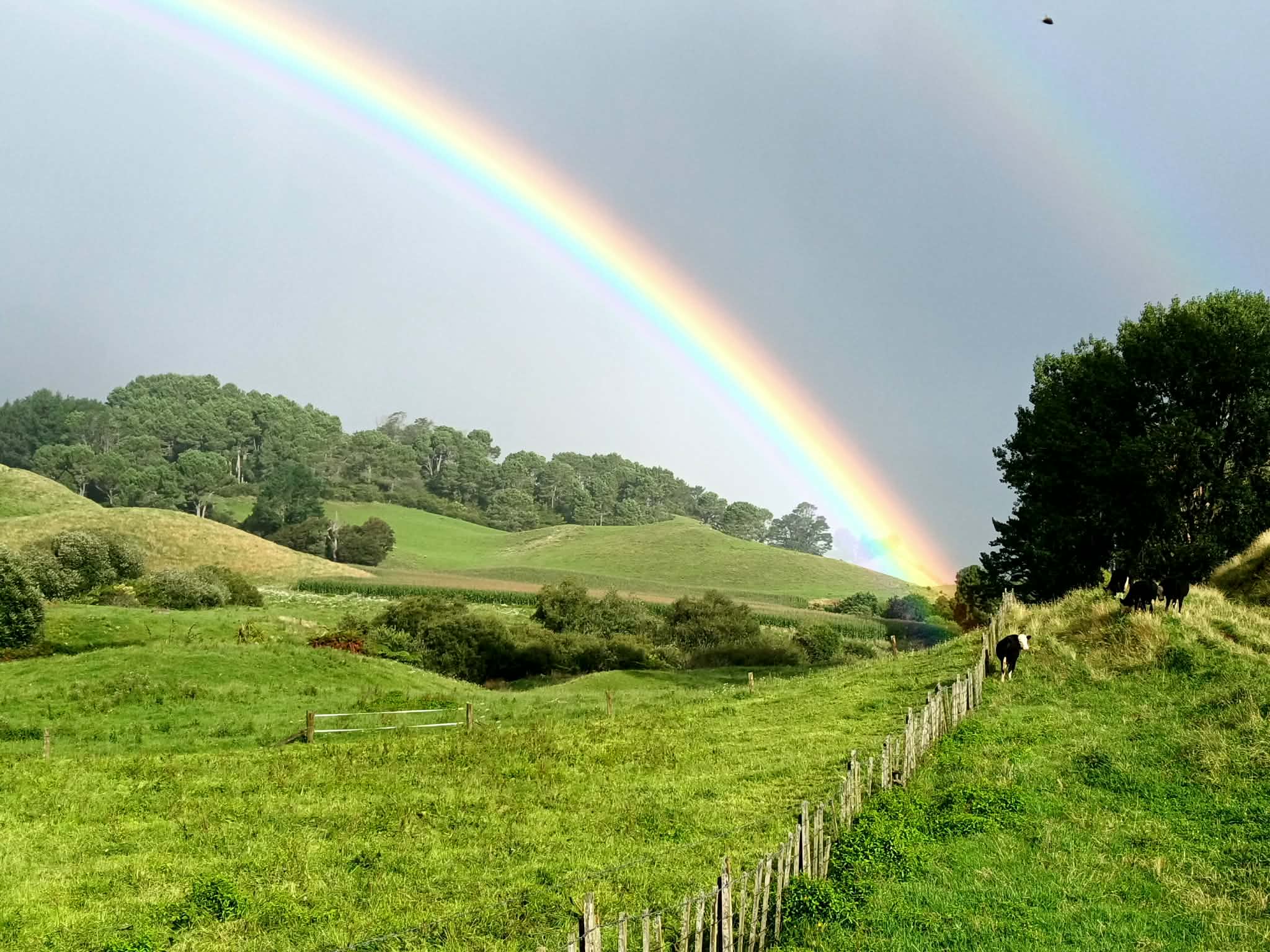 Clearbrook Farm