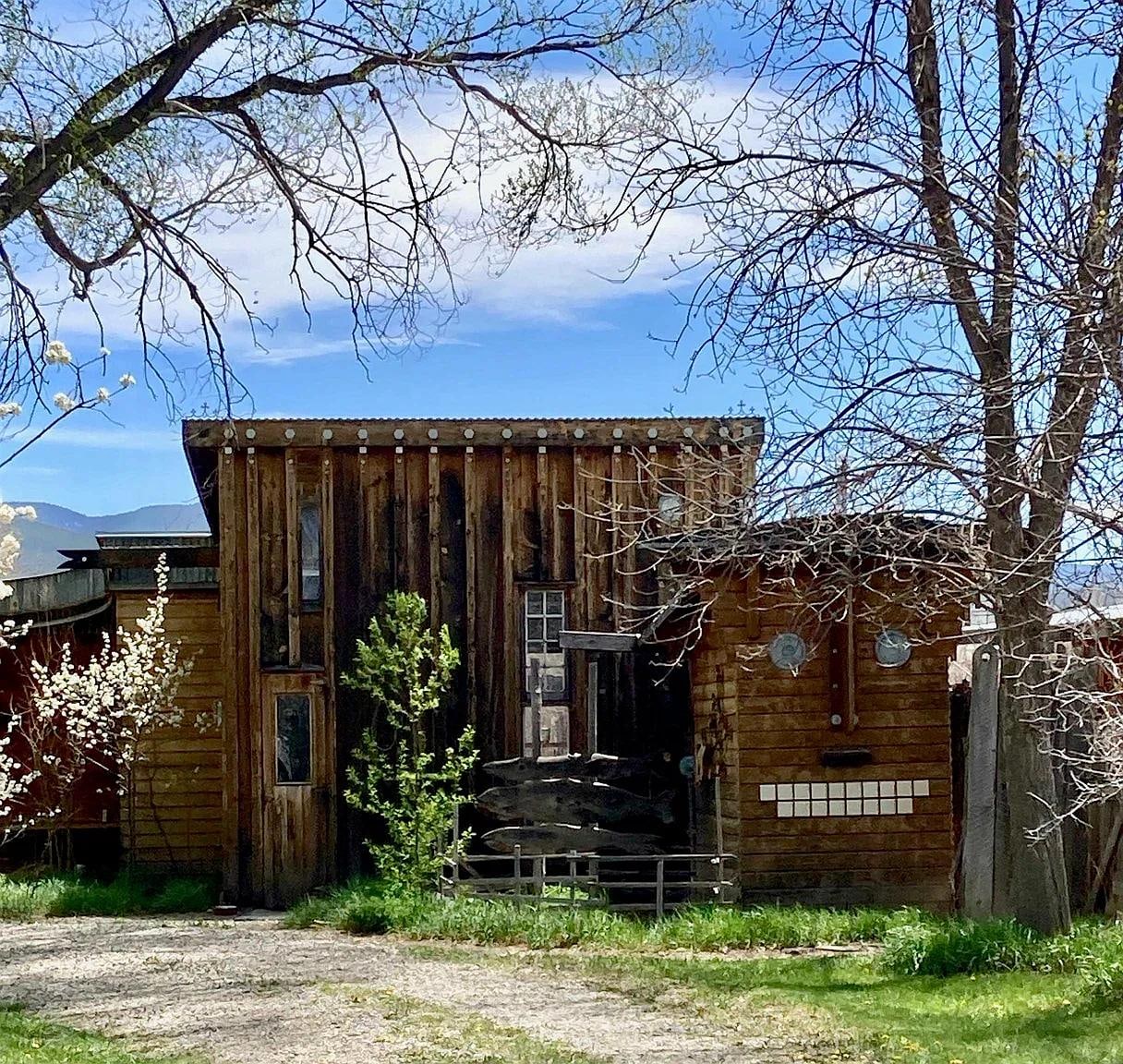 Welcome to Springwild!