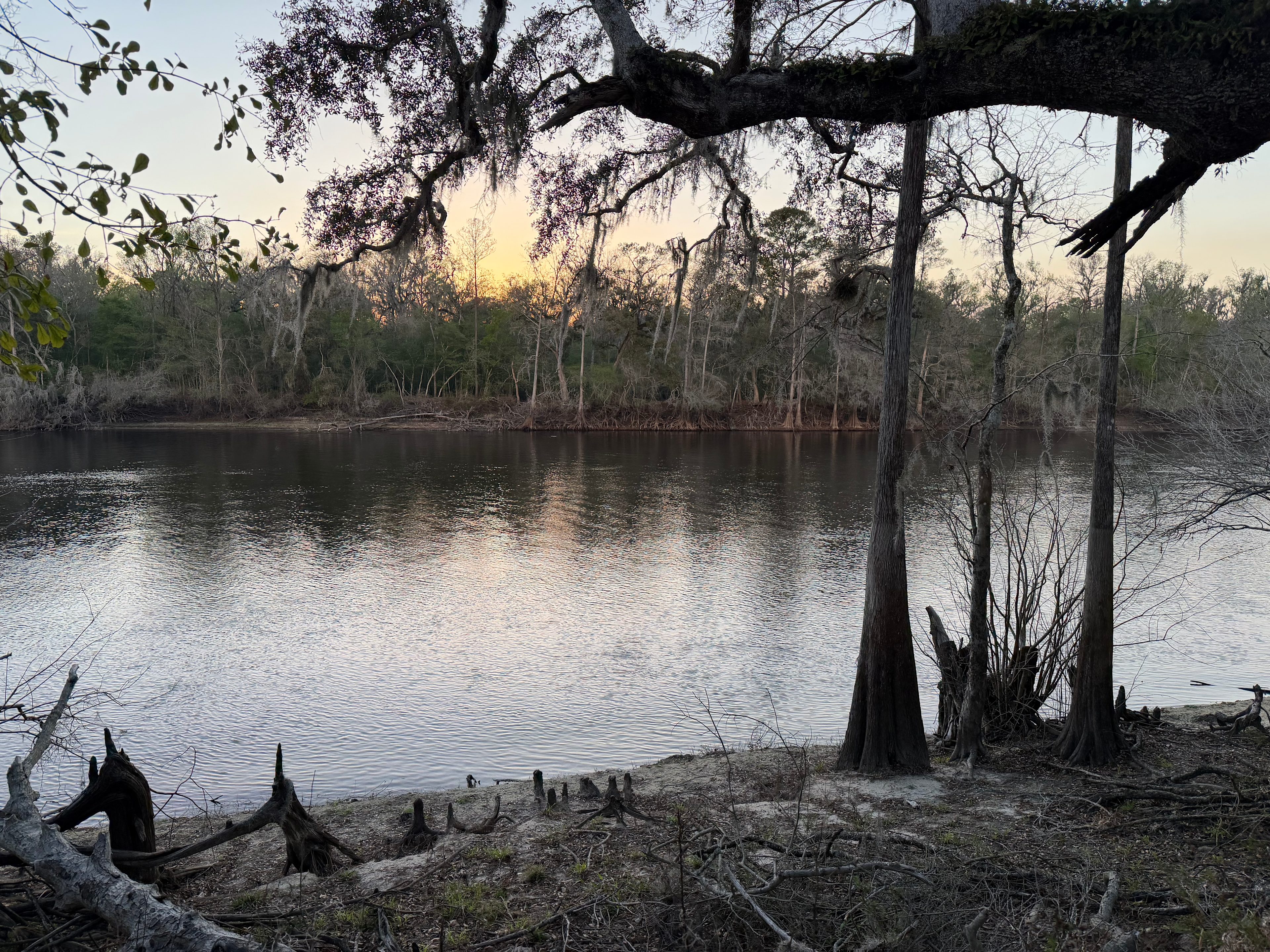 Suwannee Beach Resort