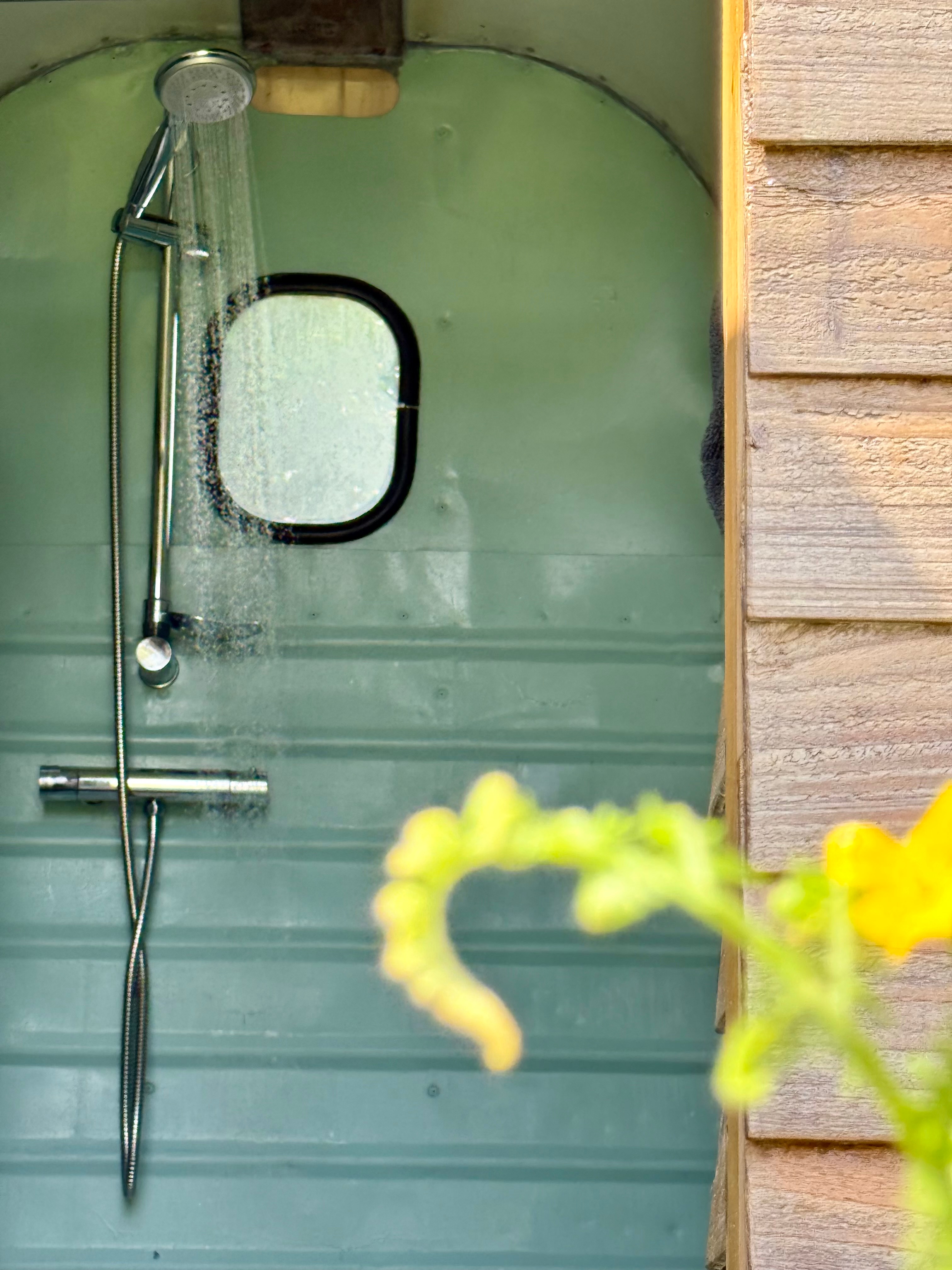 Belan Bluebell Woods