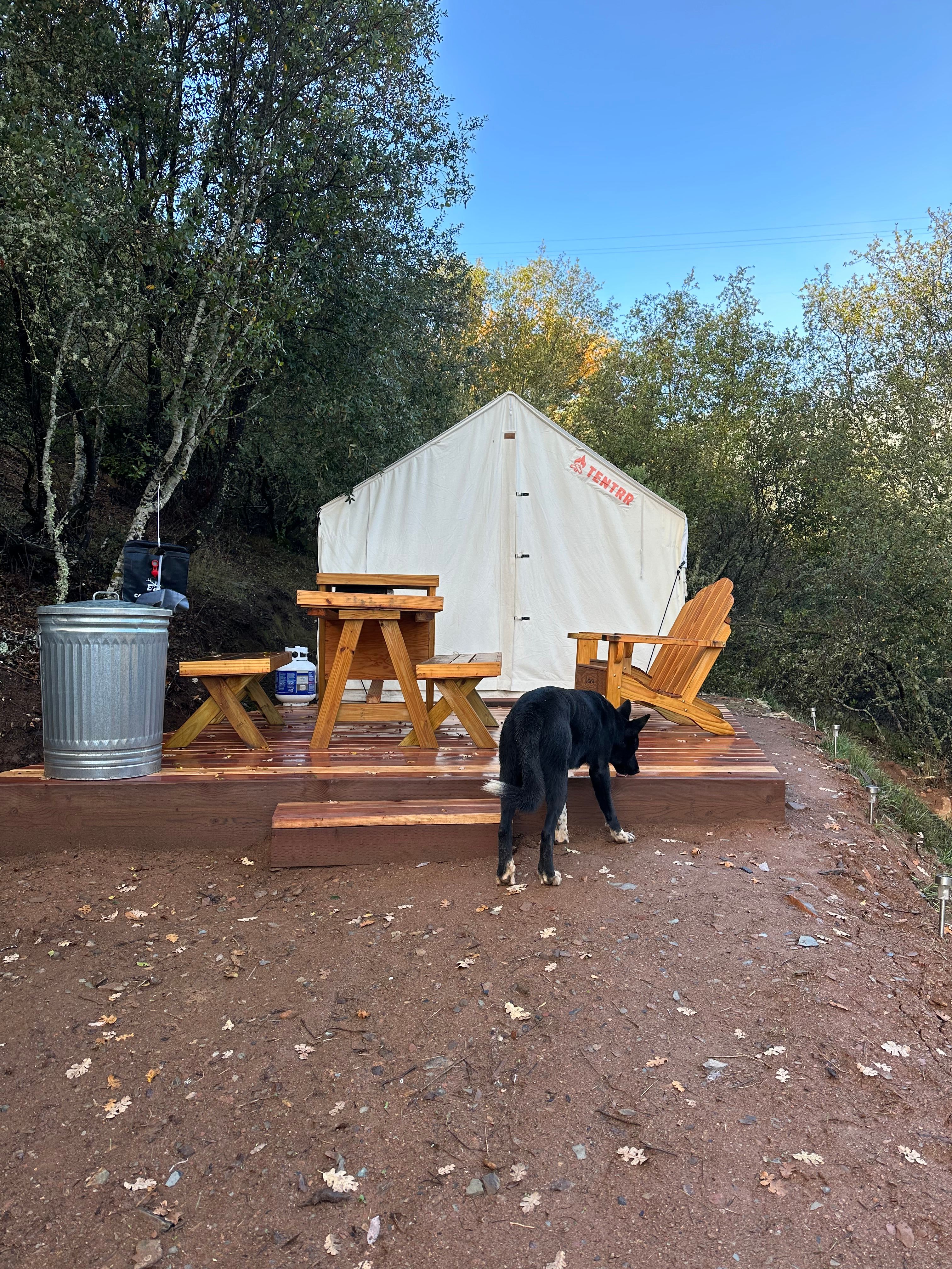 Daily Consumnes River Beach Access