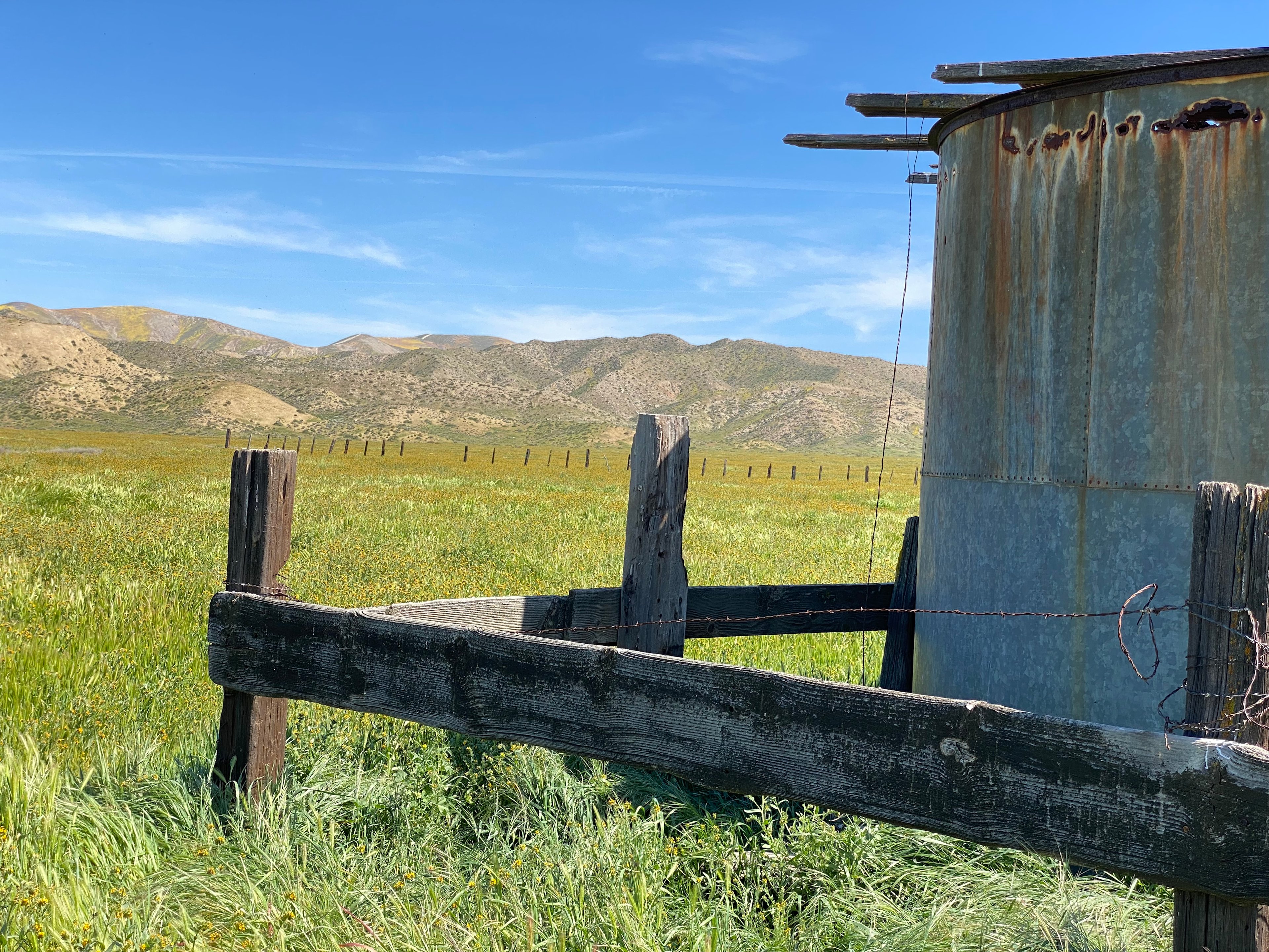 The Pergola at Carrizo Plain