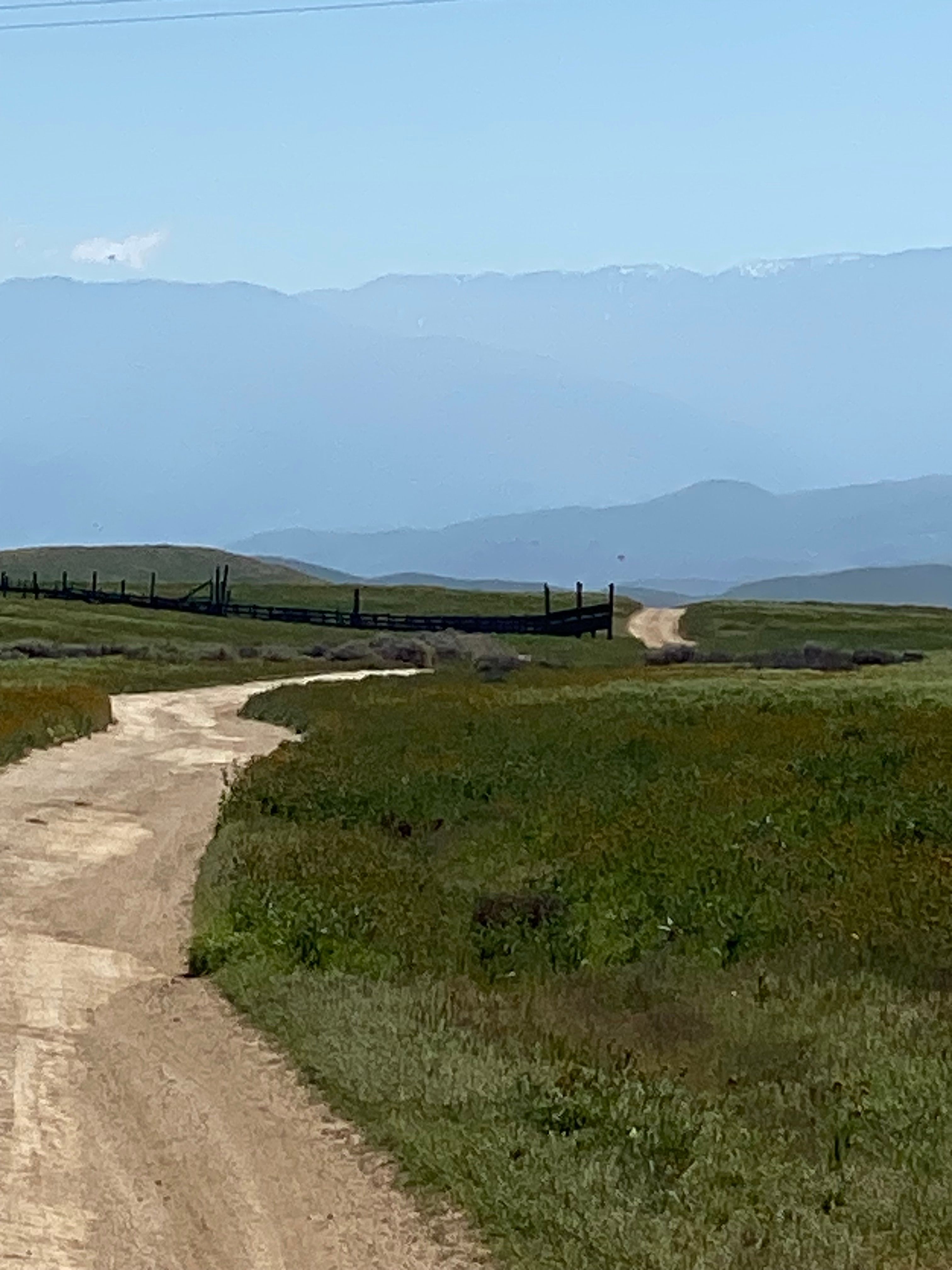 The Pergola at Carrizo Plain