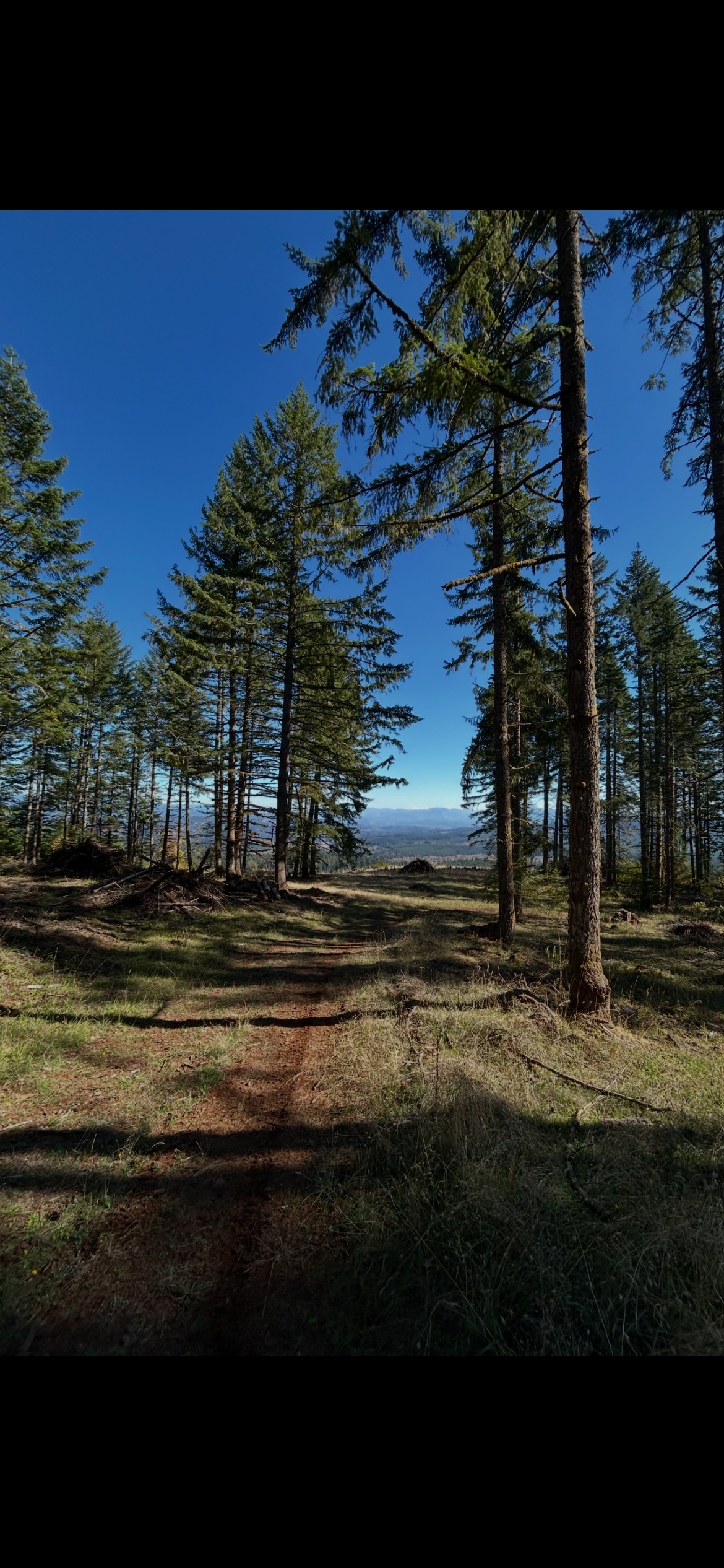 The road leading down to the view. 