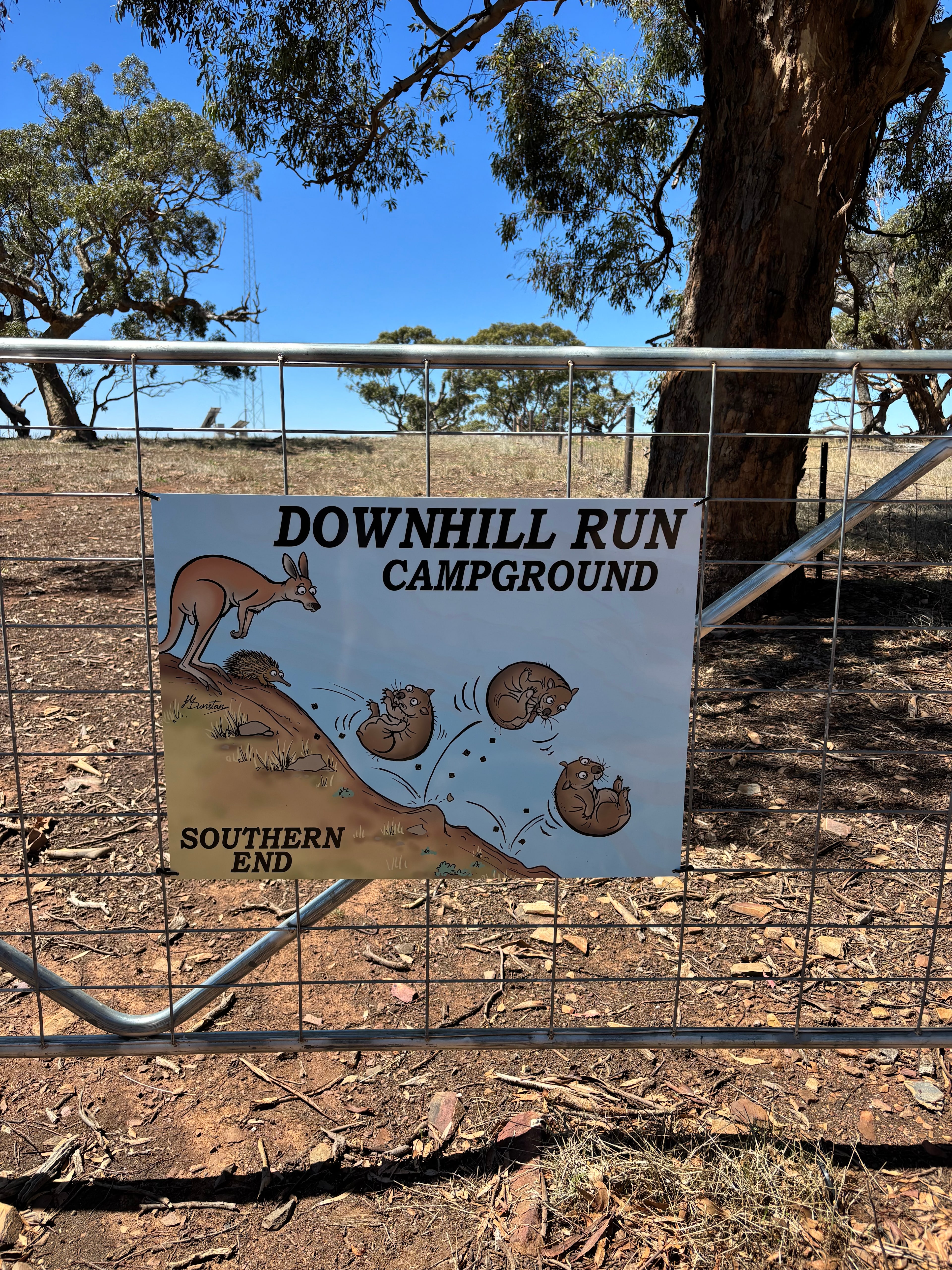 Downhill Run Camping