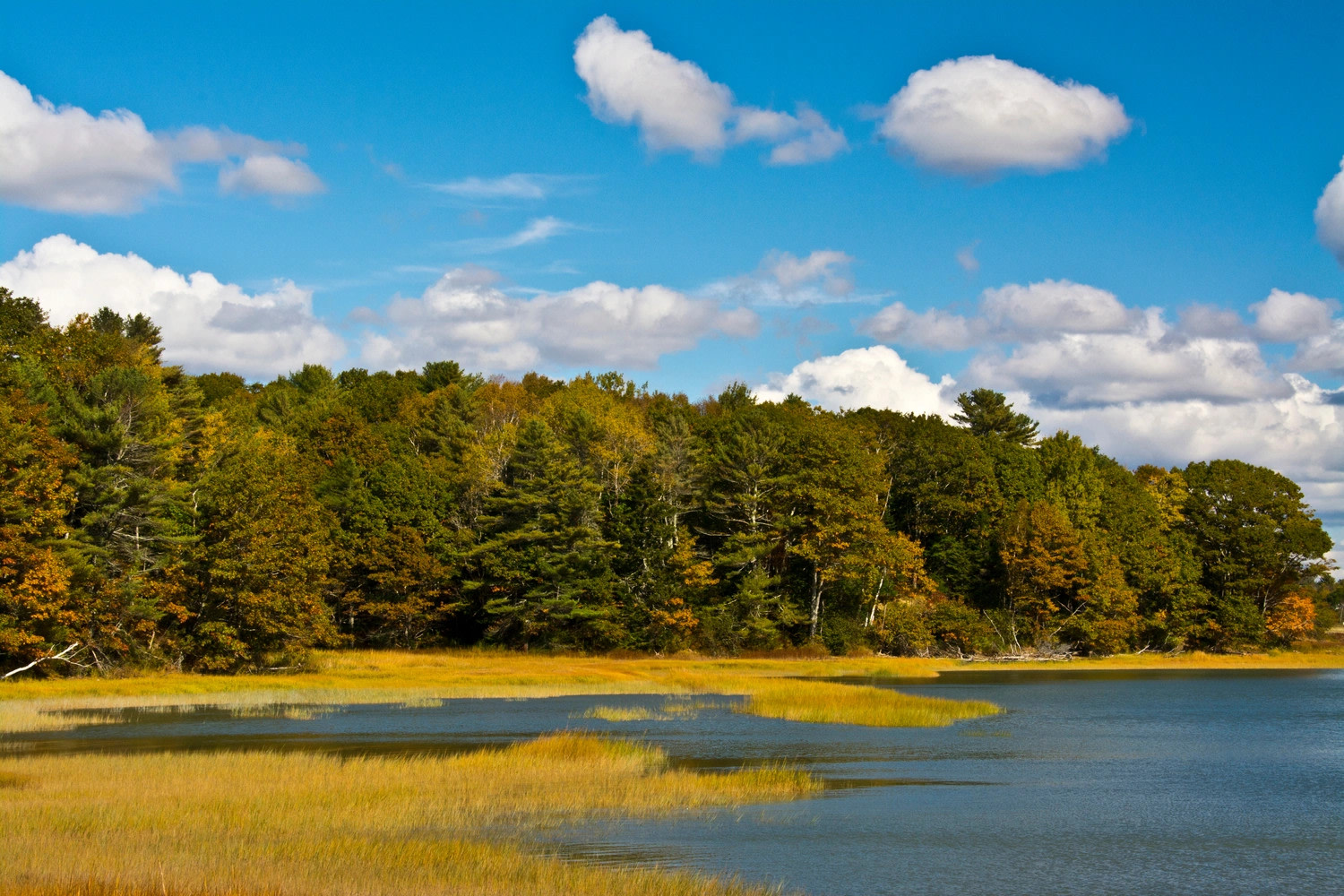 Thomas Point Beach Campground - Brunswick, ME