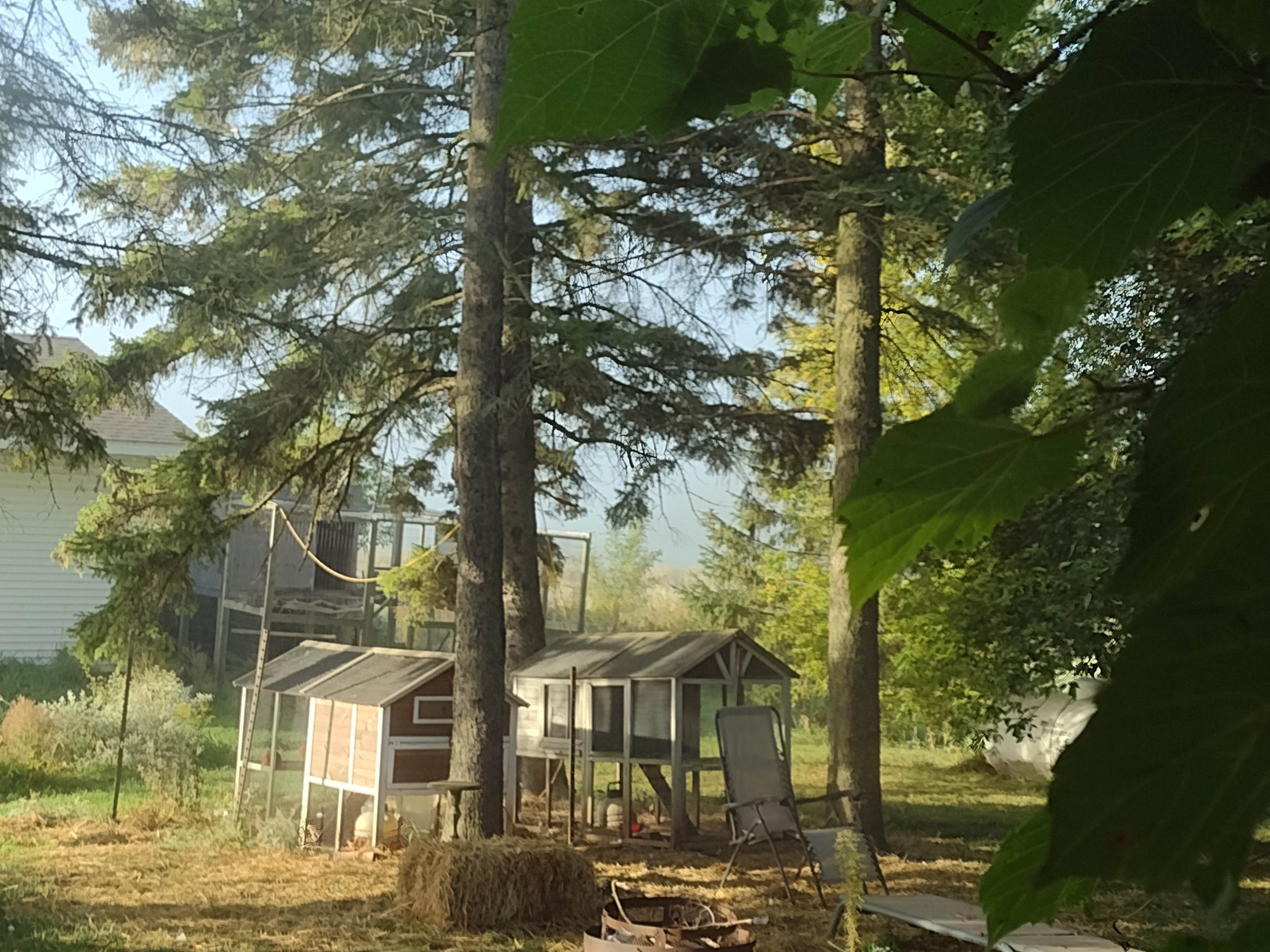 Microfarm Meadow Maze