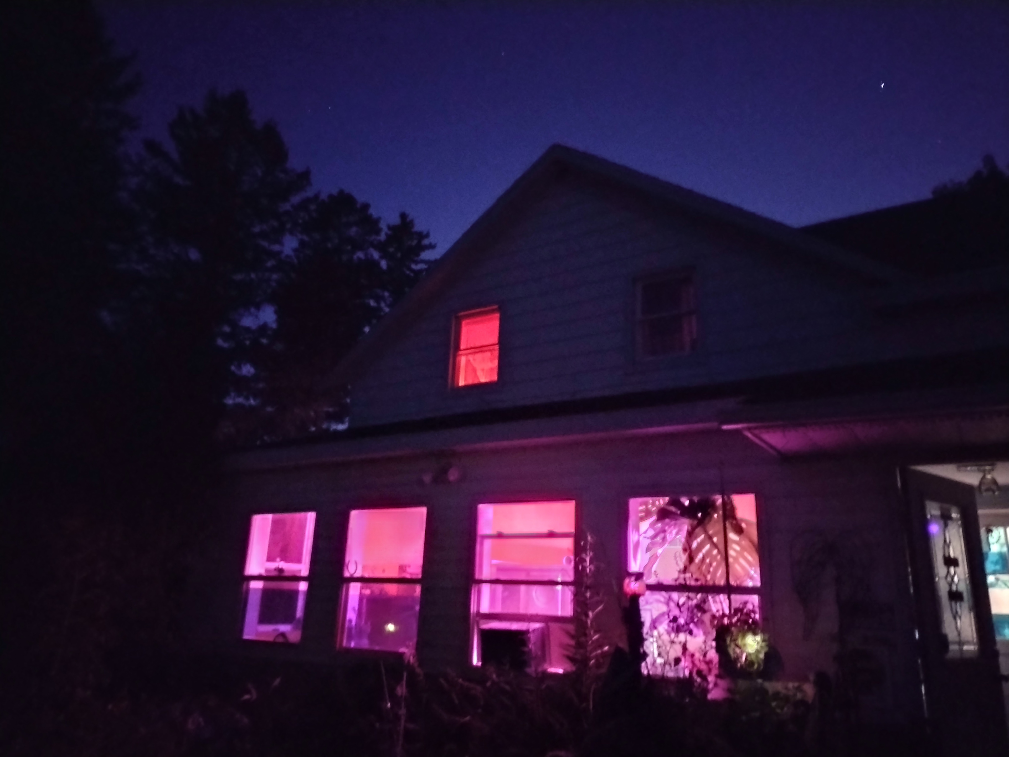 Microfarm Meadow Maze