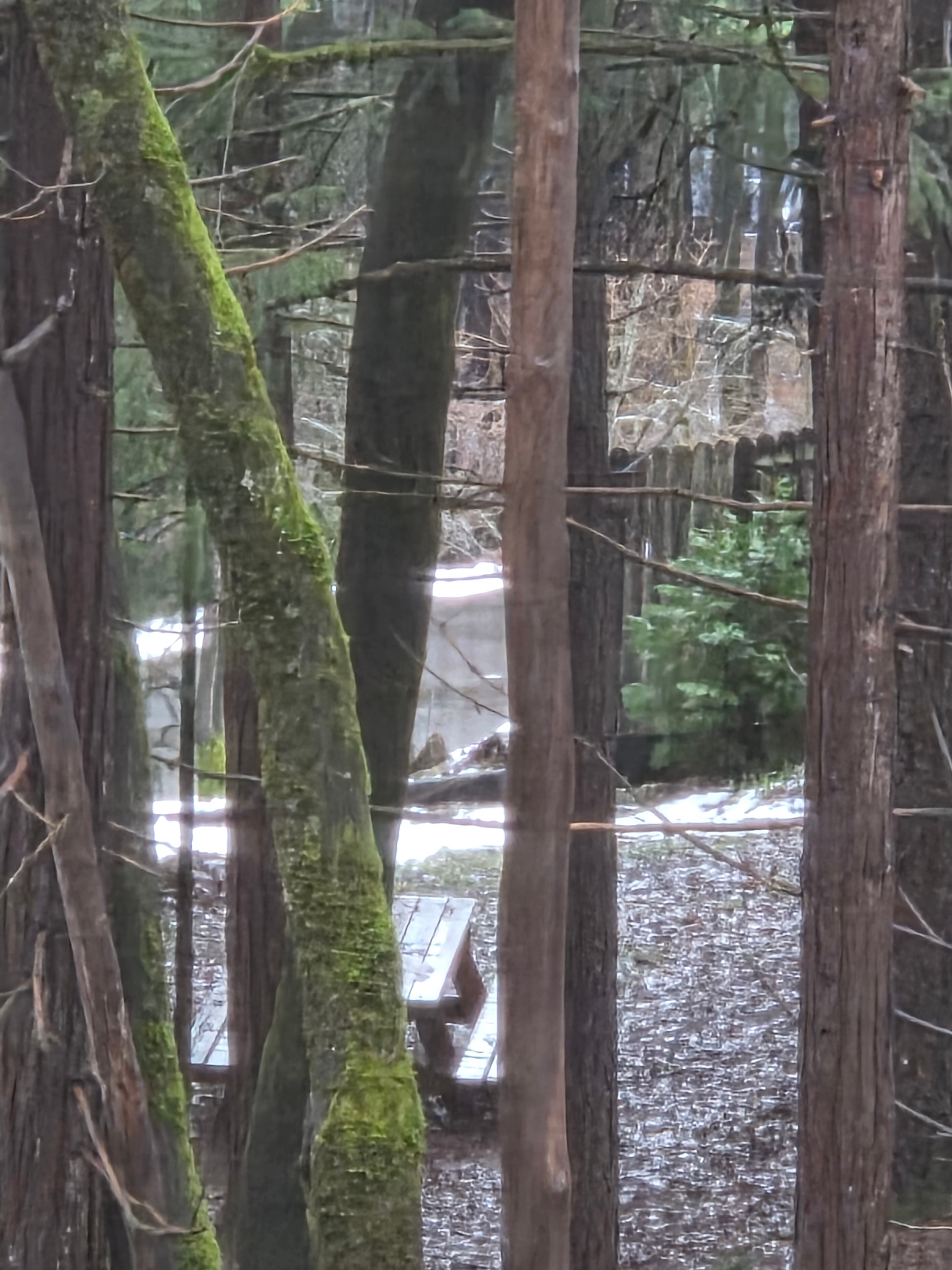 Hideaway Heaven Camp