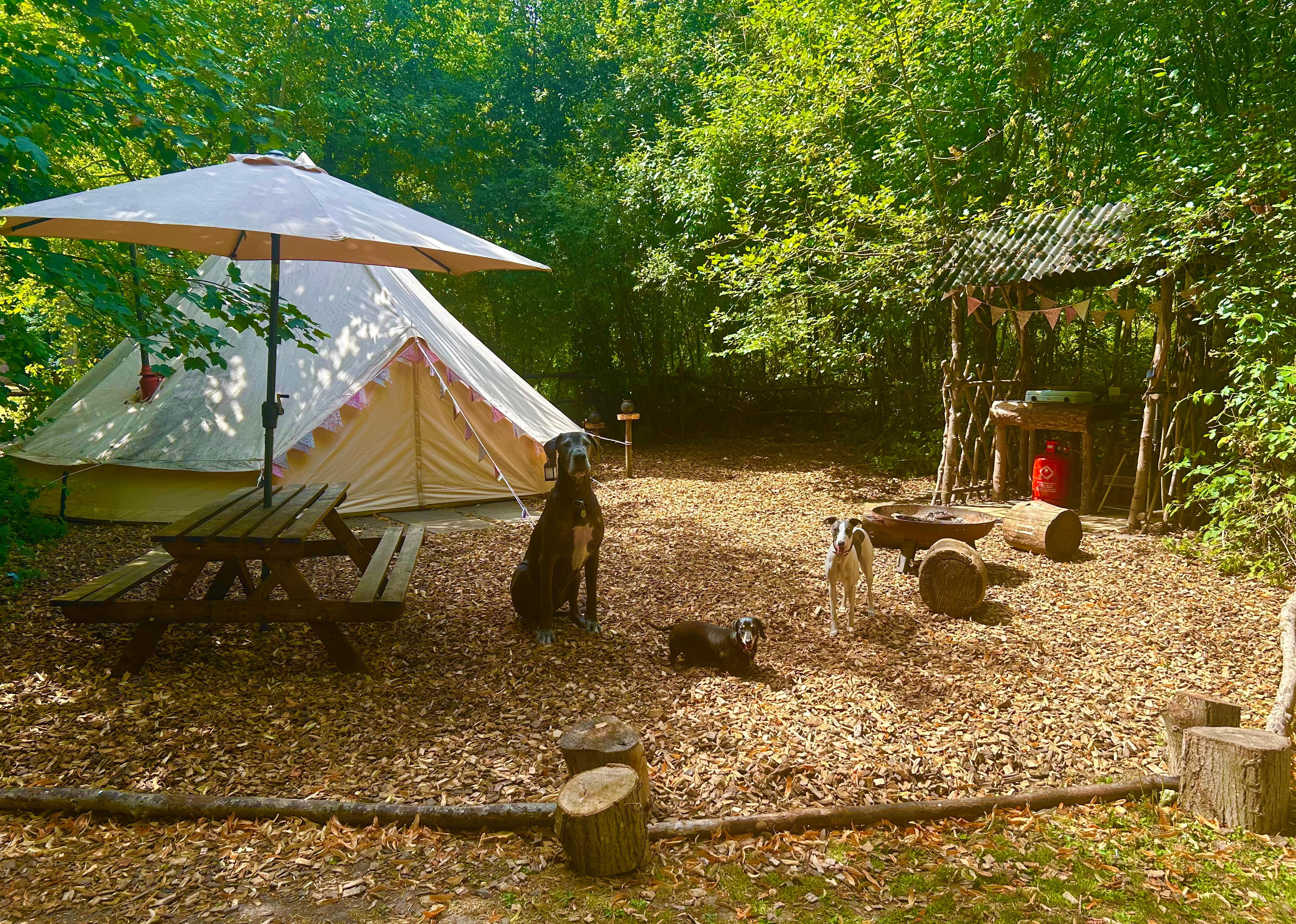 Hollington Park Glamping