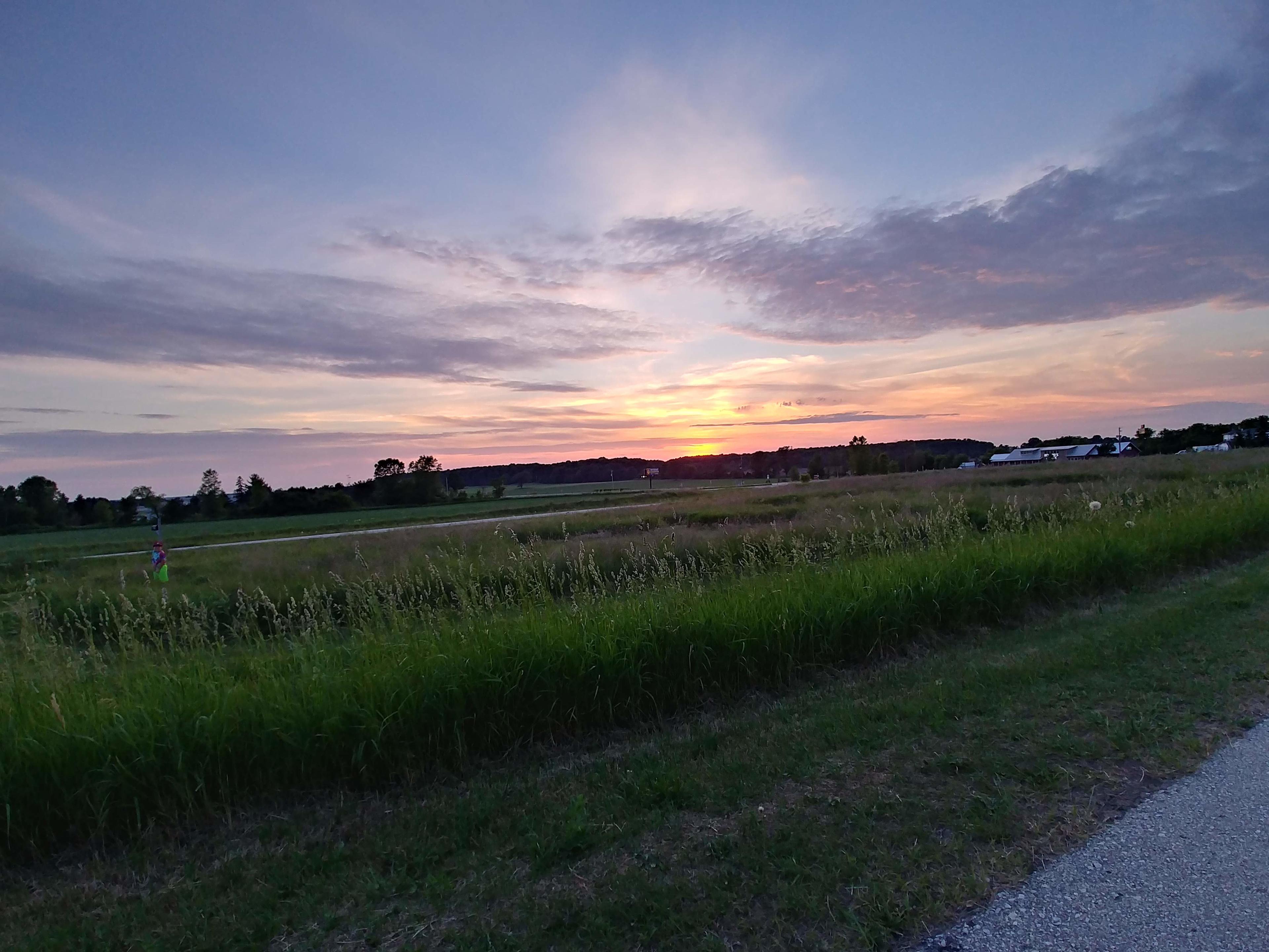 Microfarm Meadow Maze
