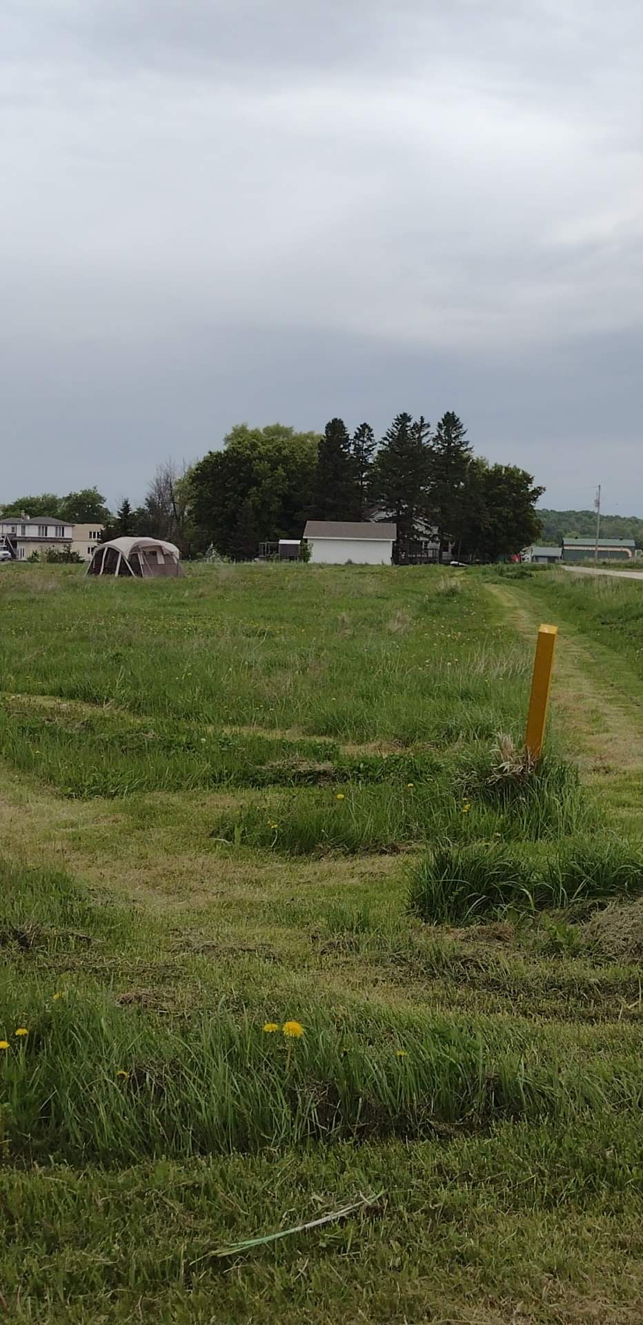 Microfarm Meadow Maze