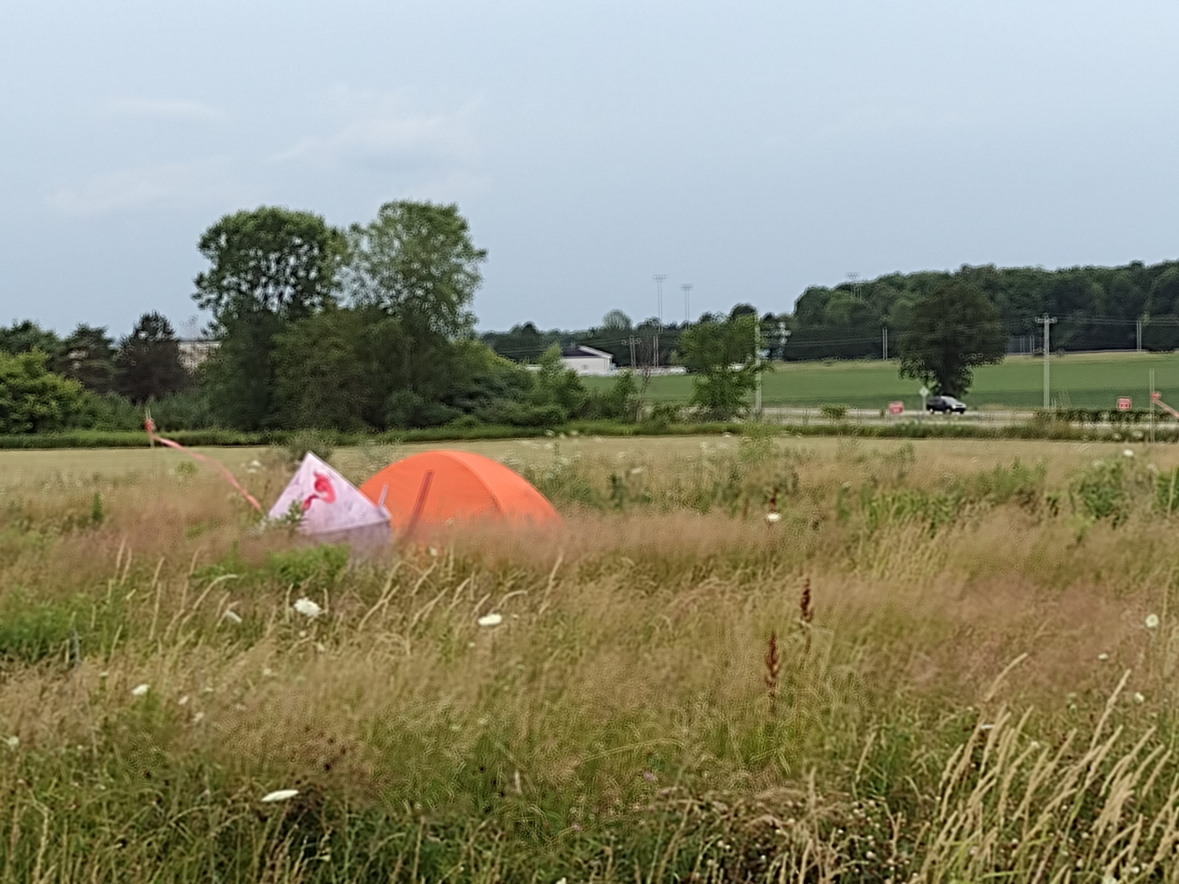 Microfarm Meadow Maze