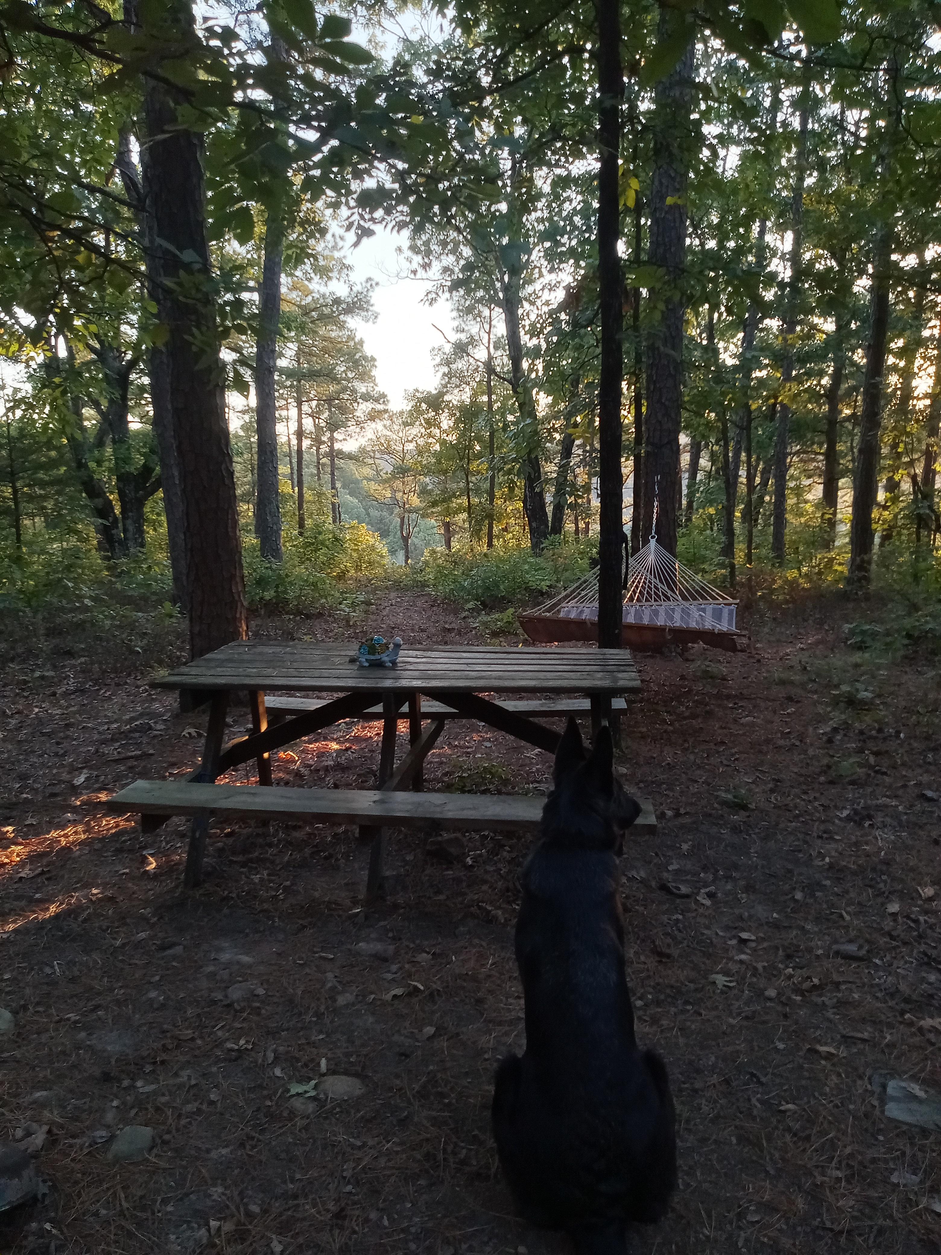 Private Pines By The Hollar