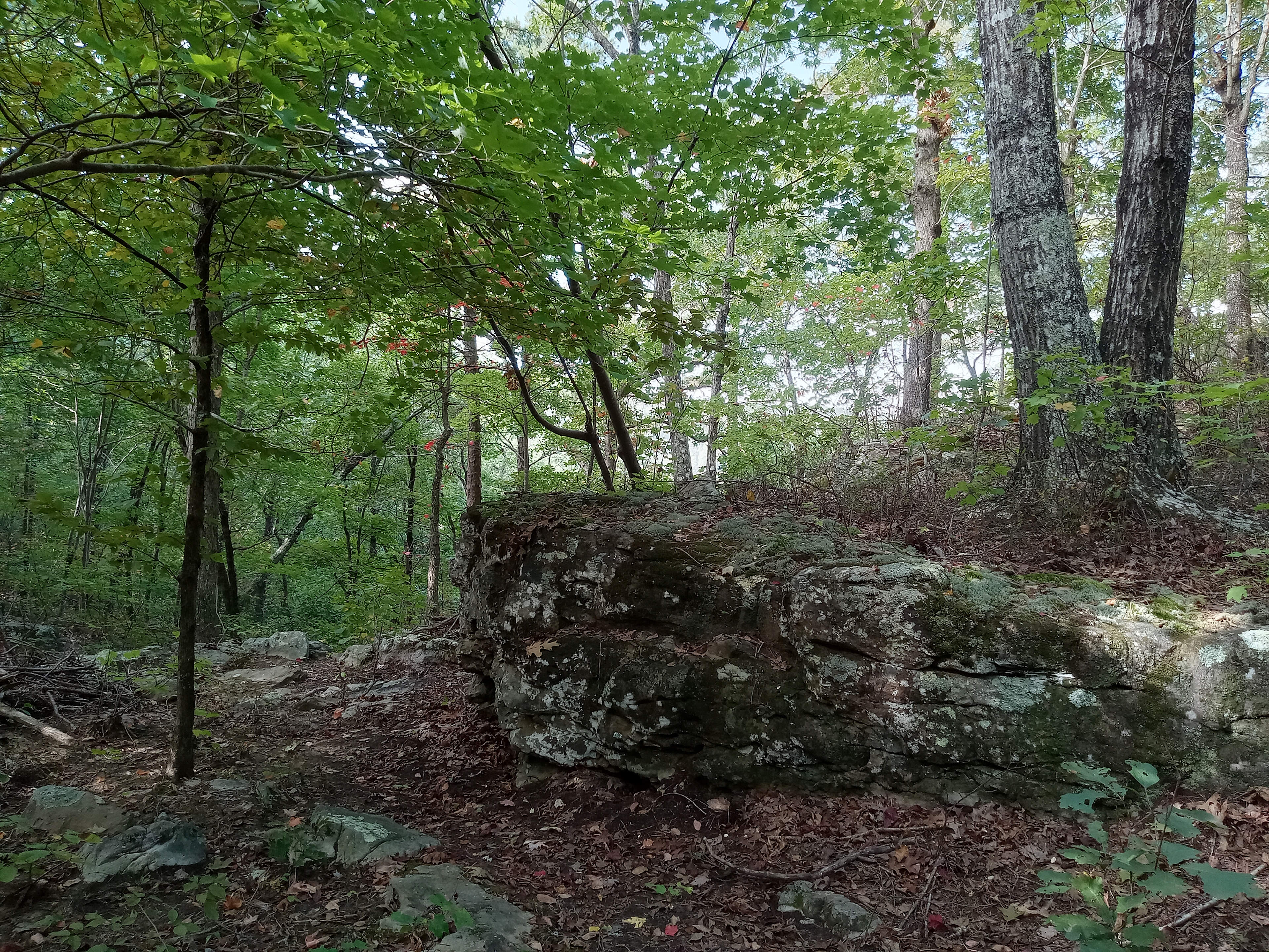 Private Pines By The Hollar