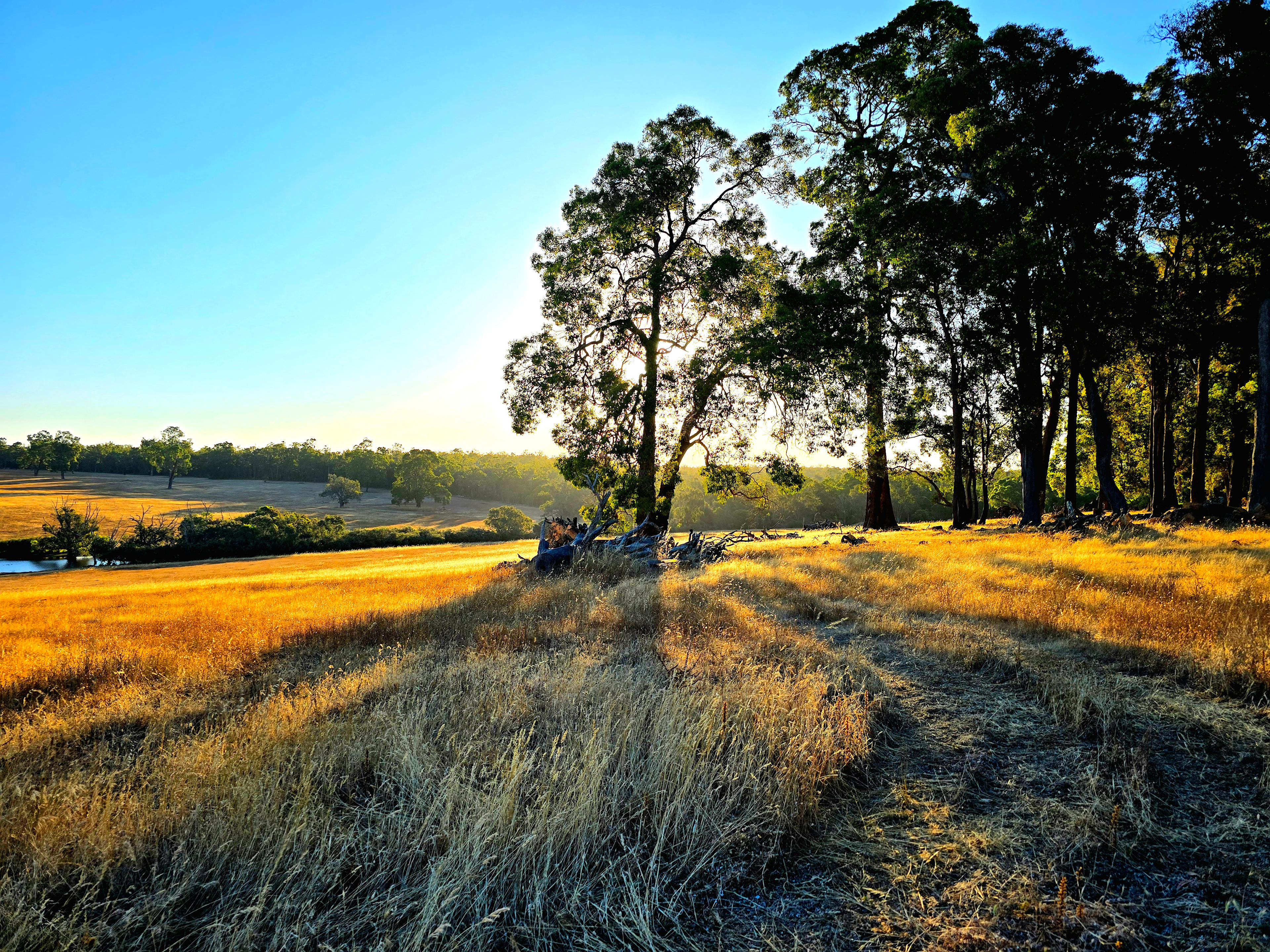 Hart & Soul Country Farmstay