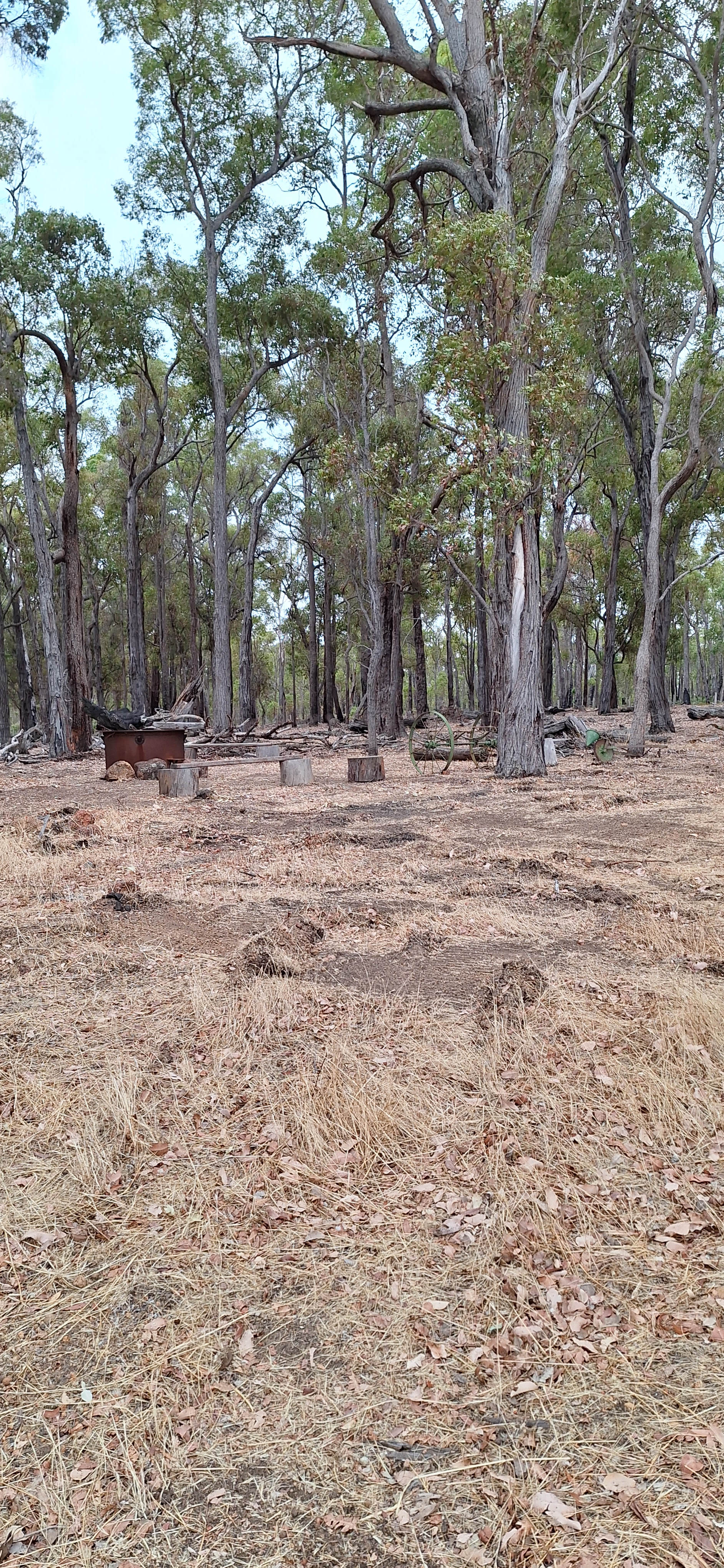 Hart & Soul Country Farmstay