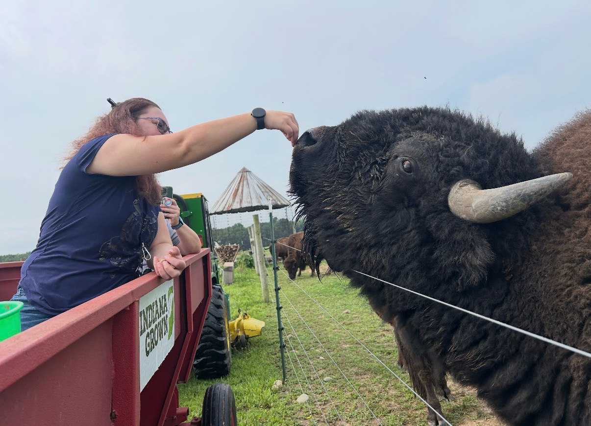 Bison Gazing at White Oaks Bison