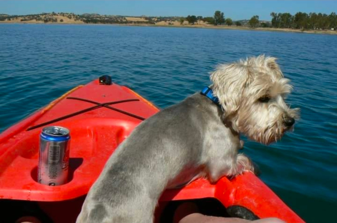 Ranchero Cottage on New Hogan Lake
