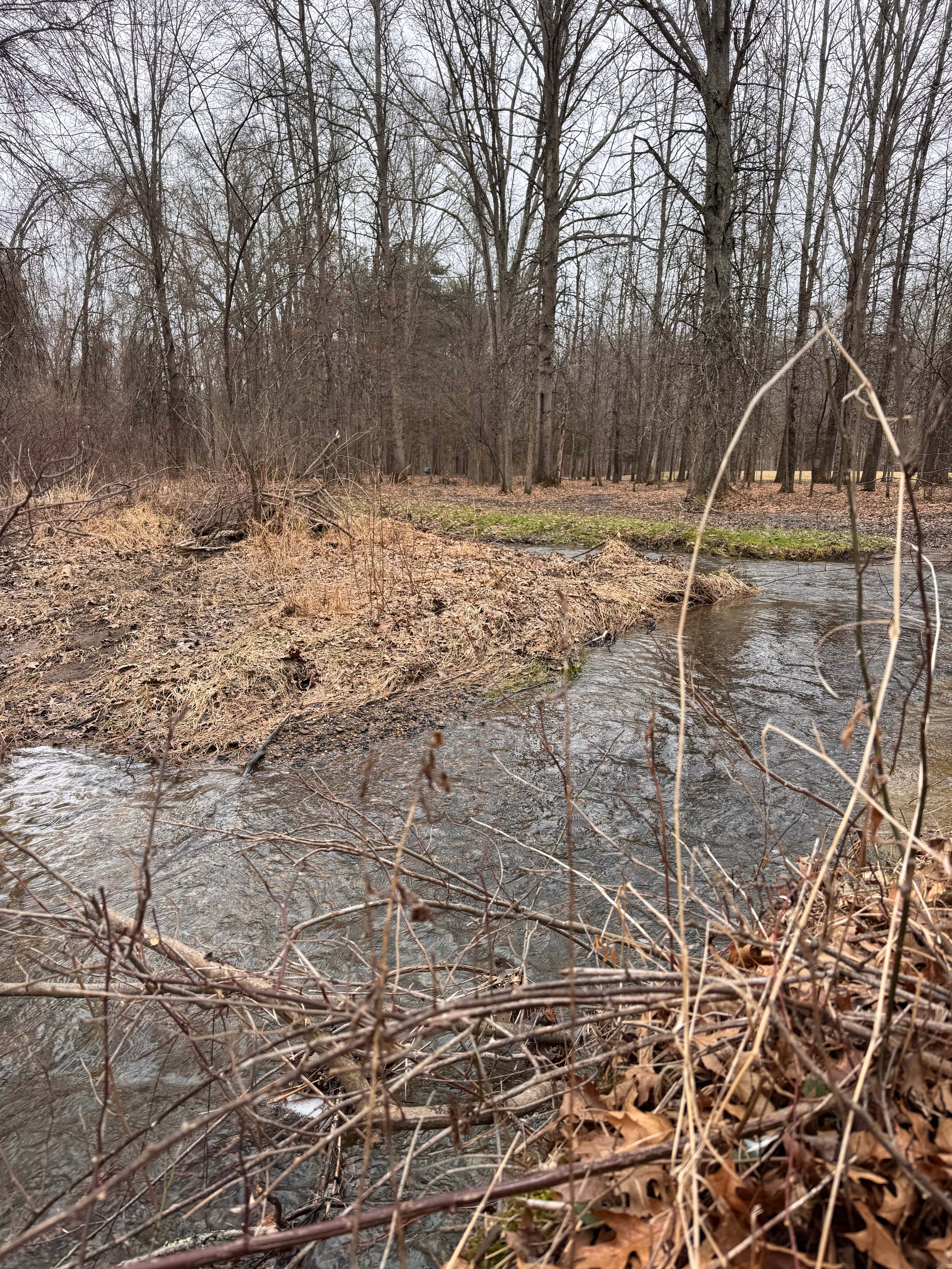 Cedar Nook Camp and RV