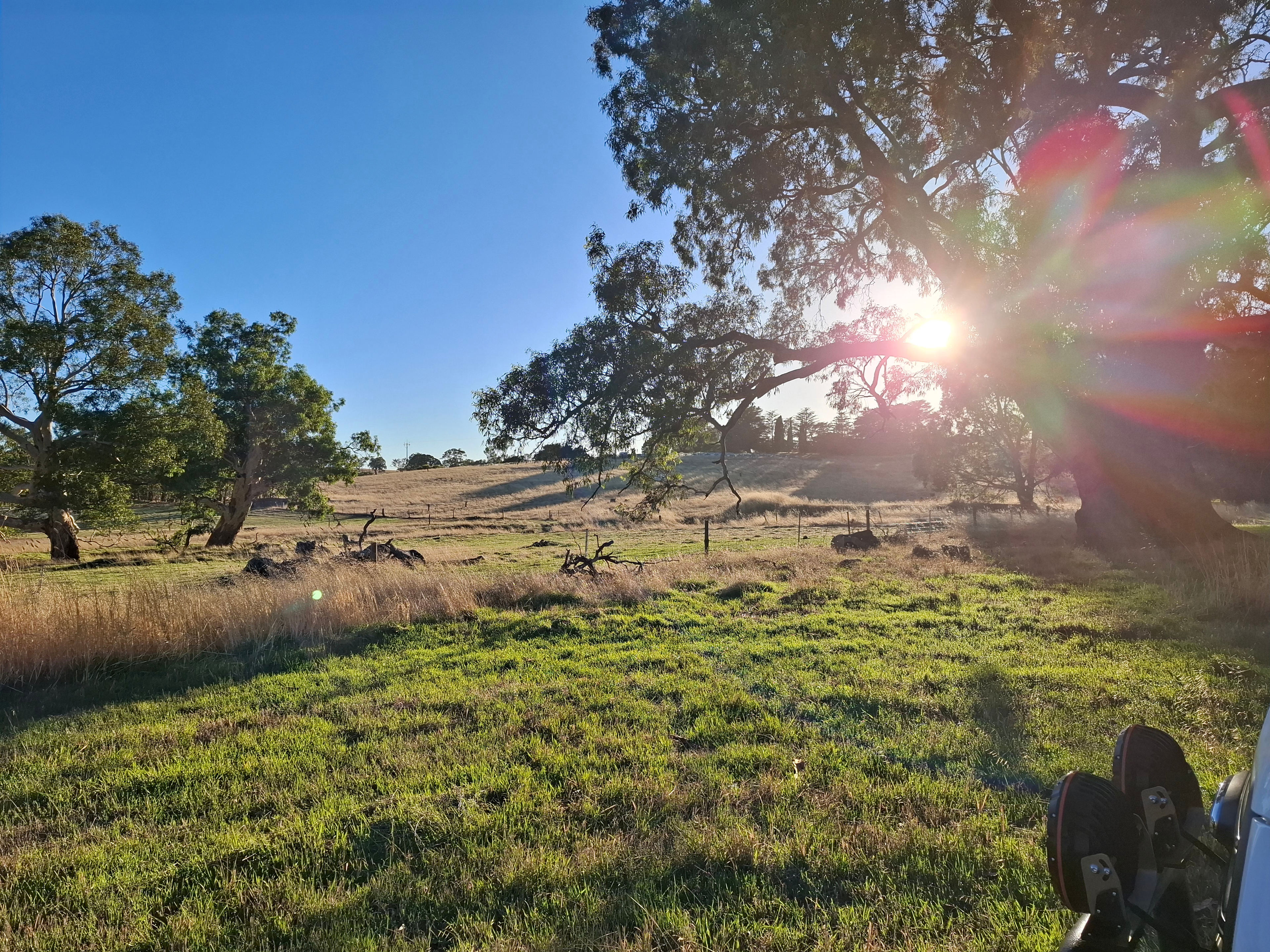 Whitefield Farm