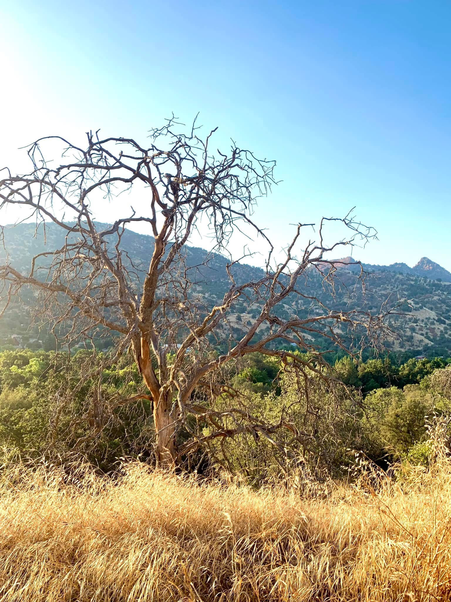 Three Rivers Nature Lodge Preserve