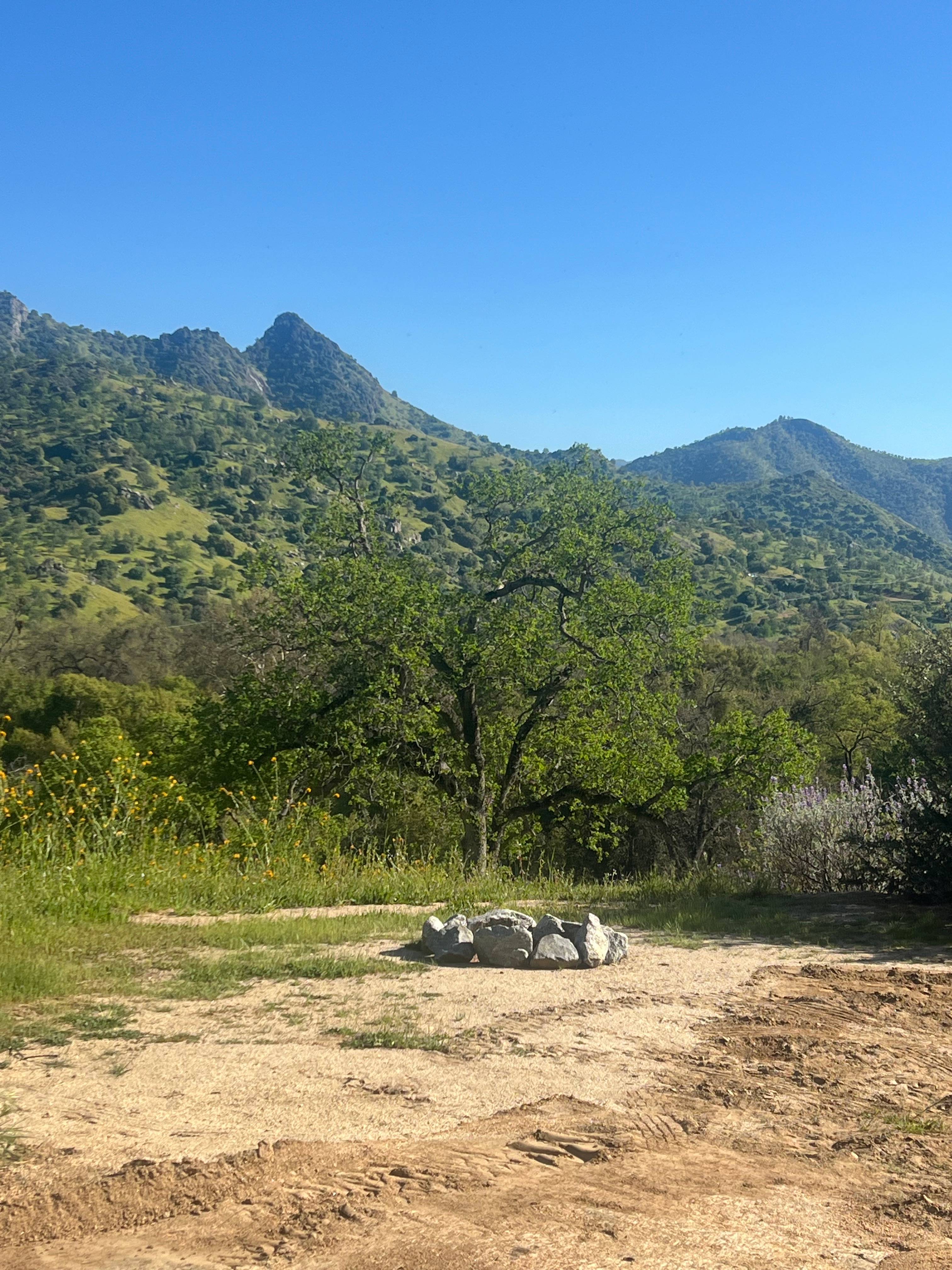 Three Rivers Nature Lodge Preserve