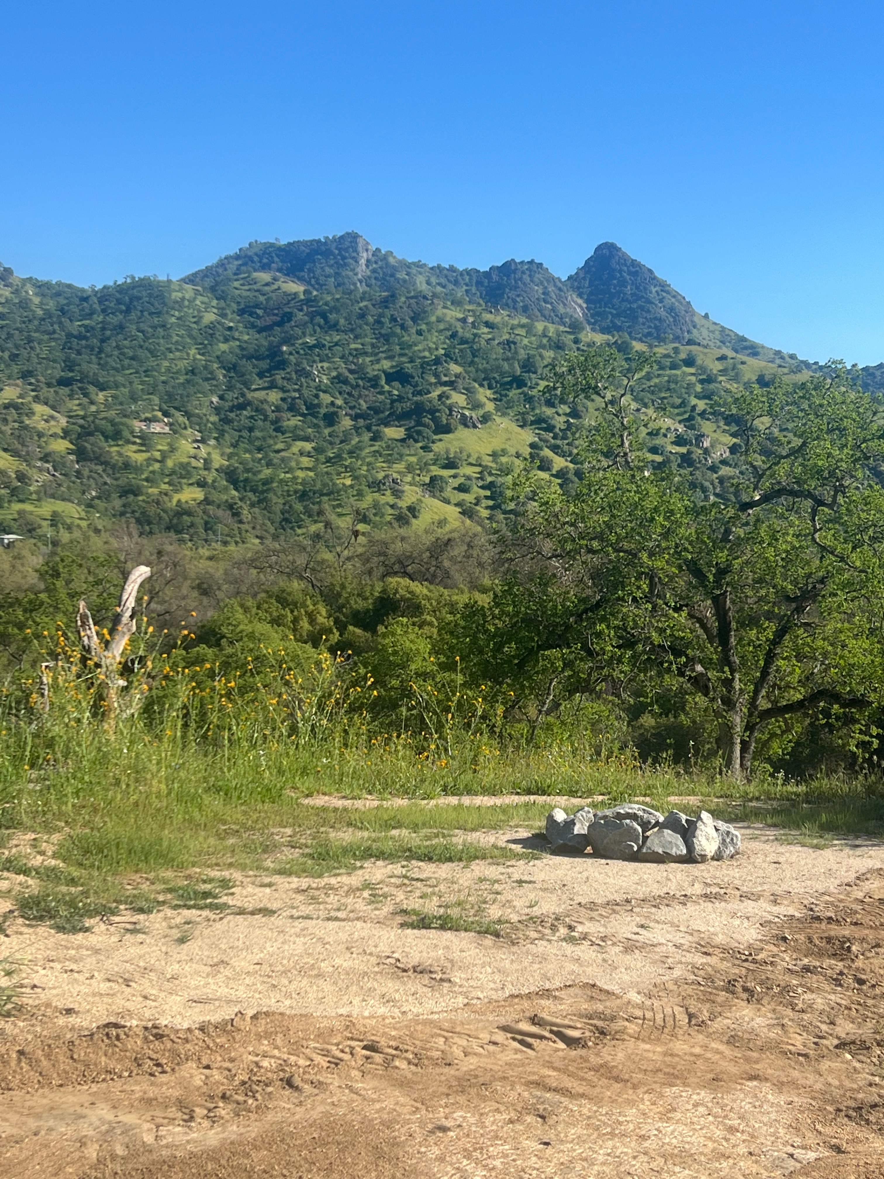 Three Rivers Nature Lodge Preserve