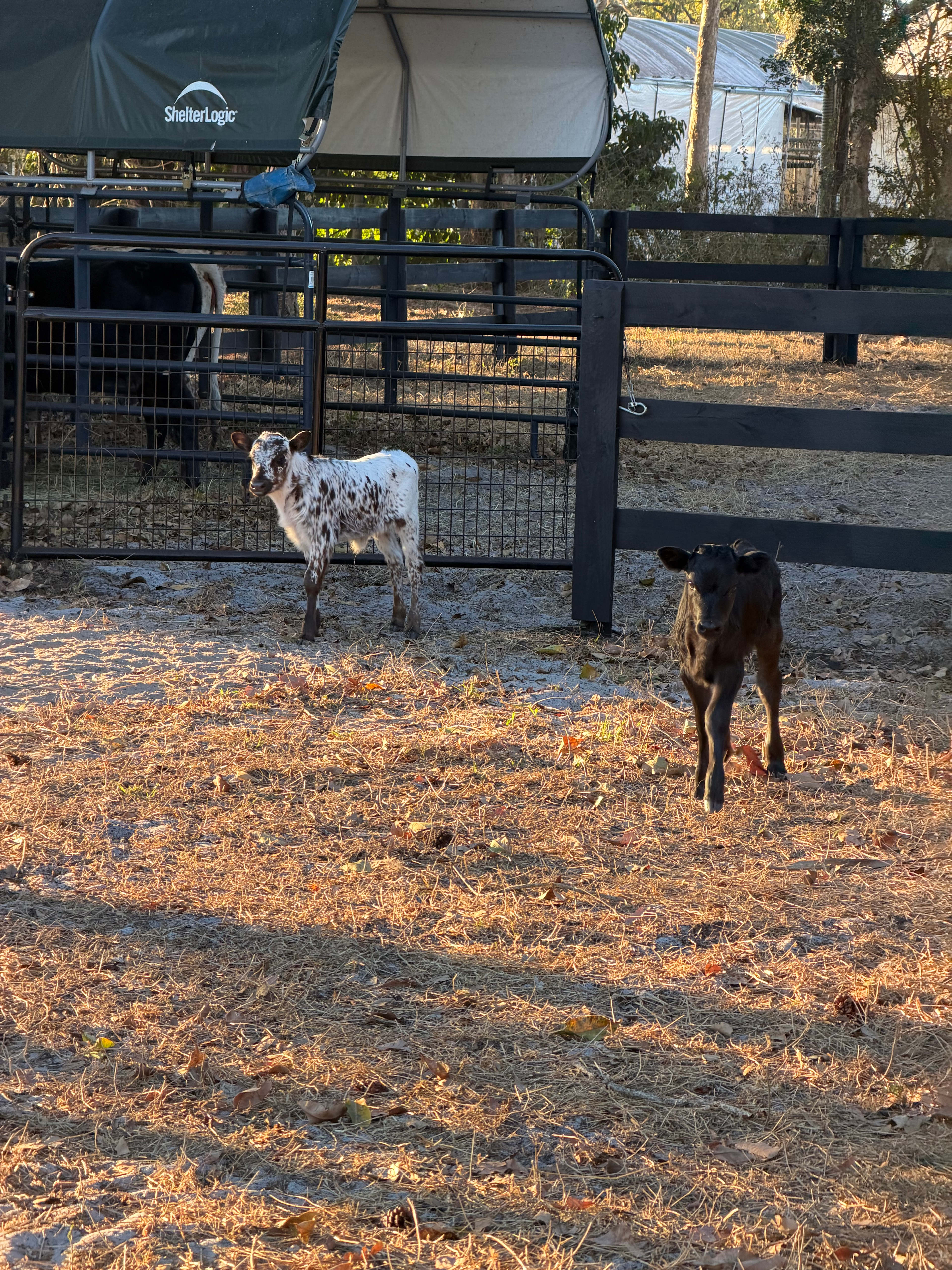 Shady Acres RV Retreat
