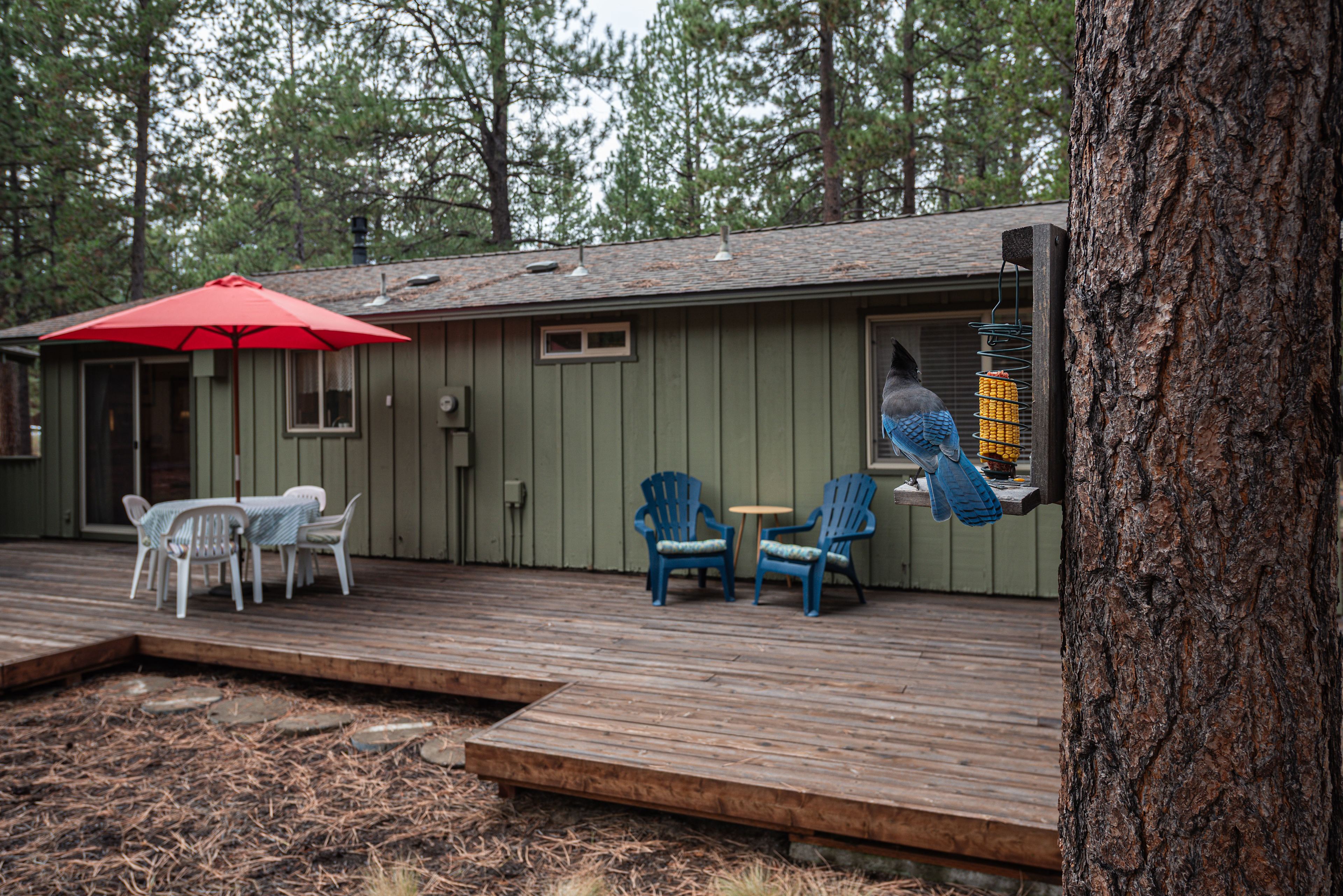 Cozy Analog Sunriver Escape