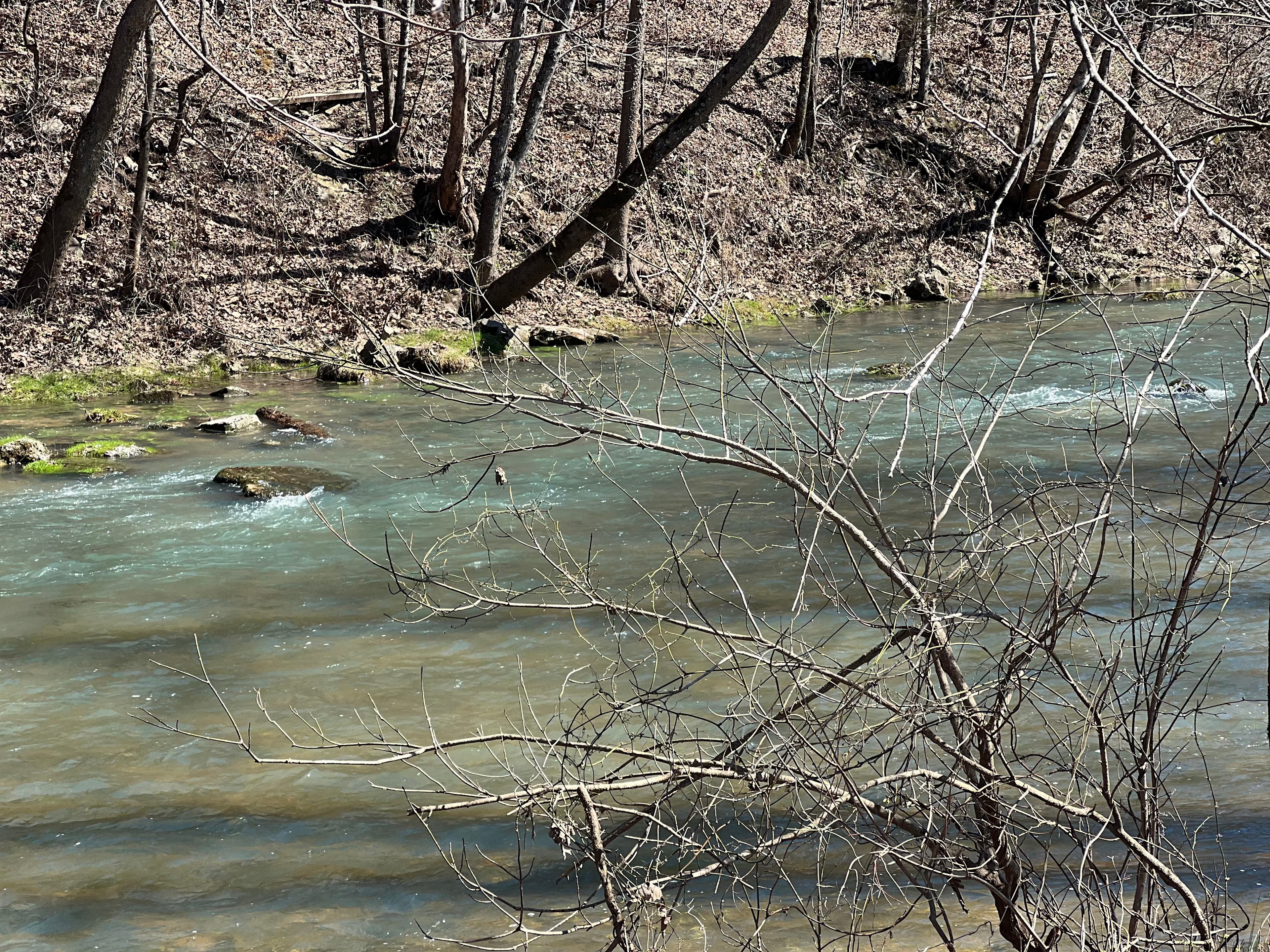 Bennett Spring State Park