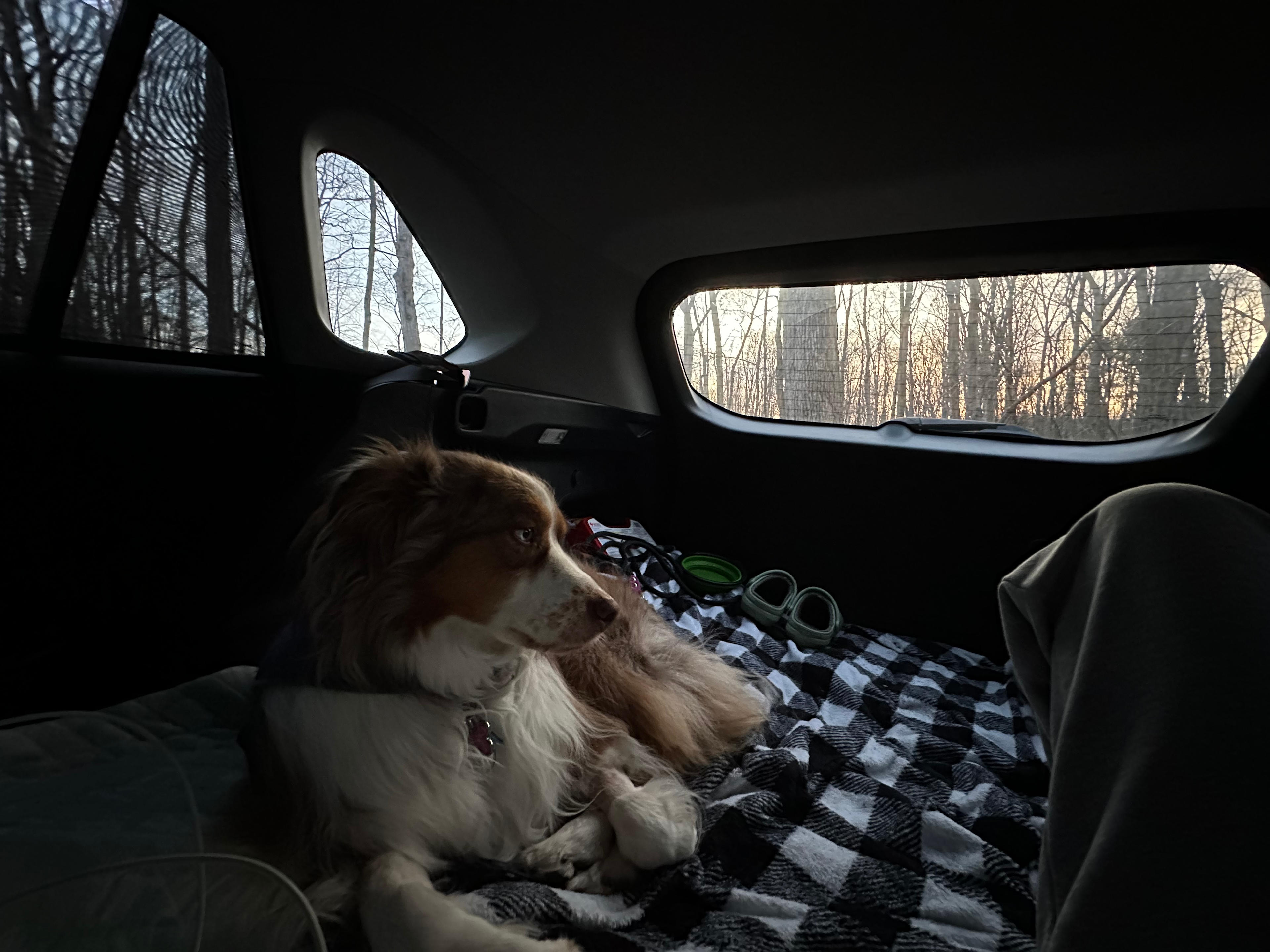 Road Runner Base Camp