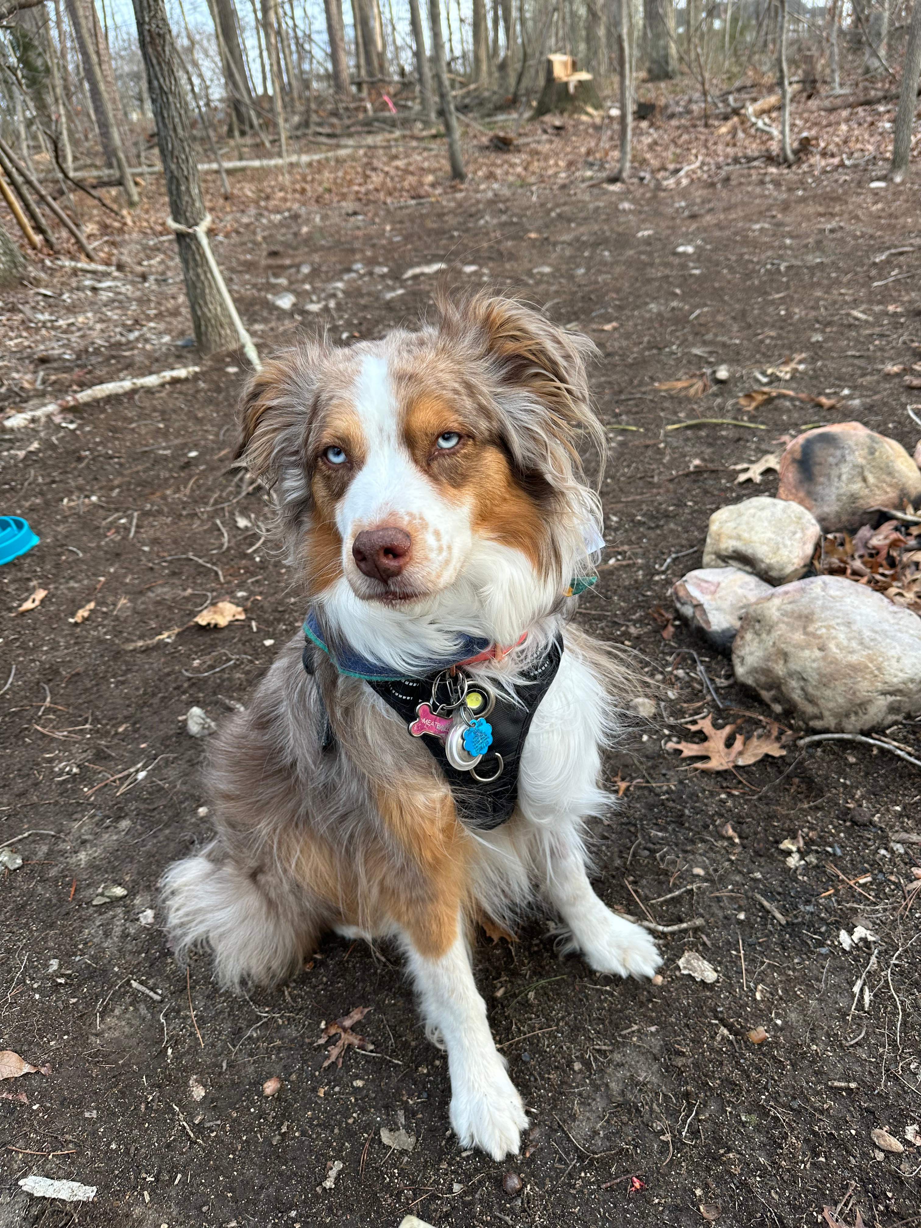 Road Runner Base Camp