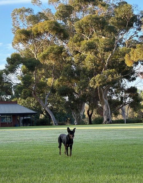 Padaley Camp - Rural retreat