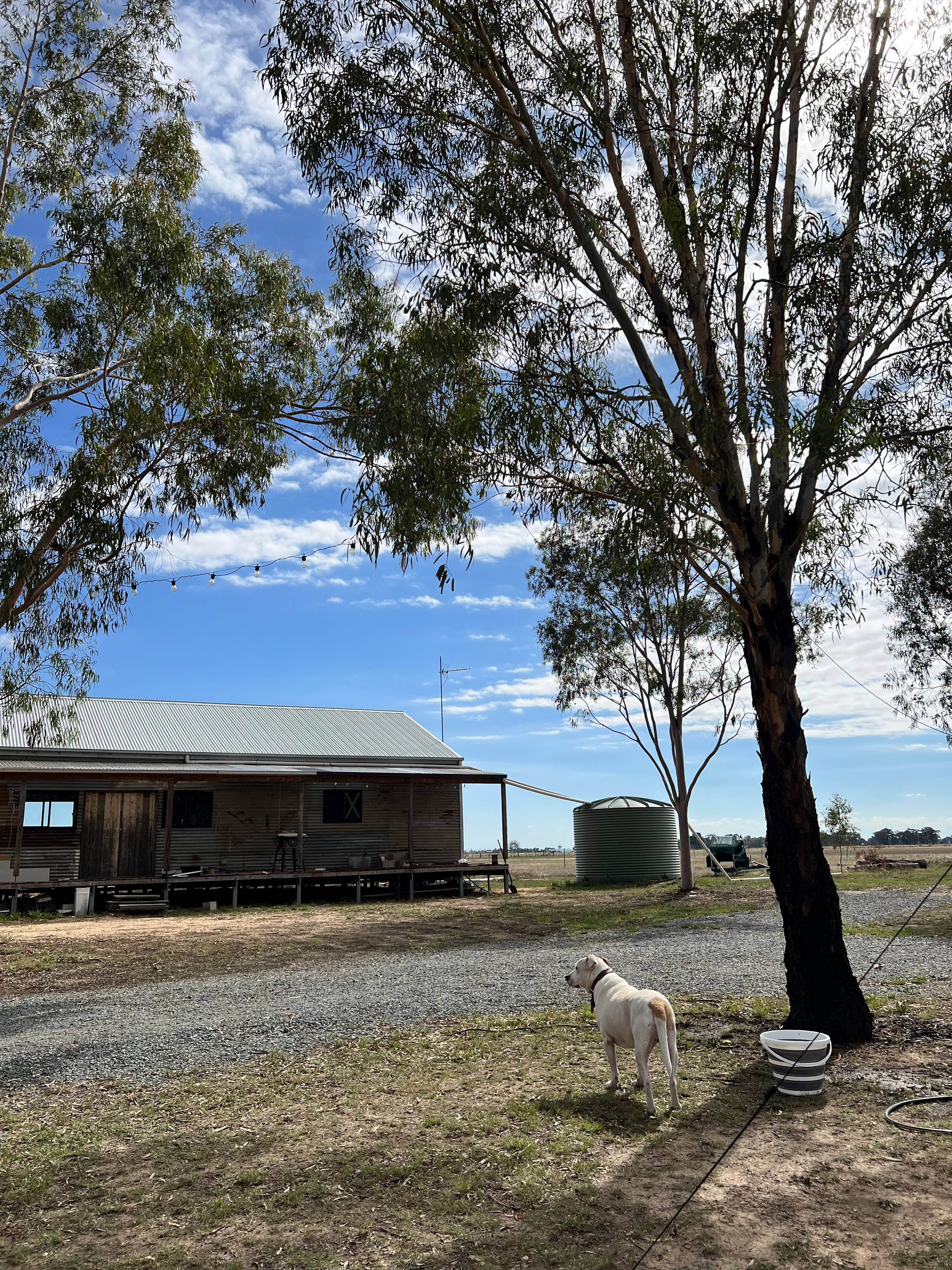 Pet-friendly campsite