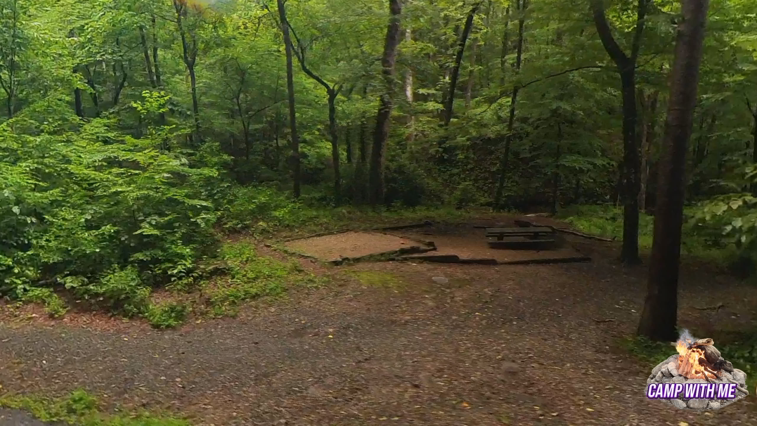 Andrews Cove Campground