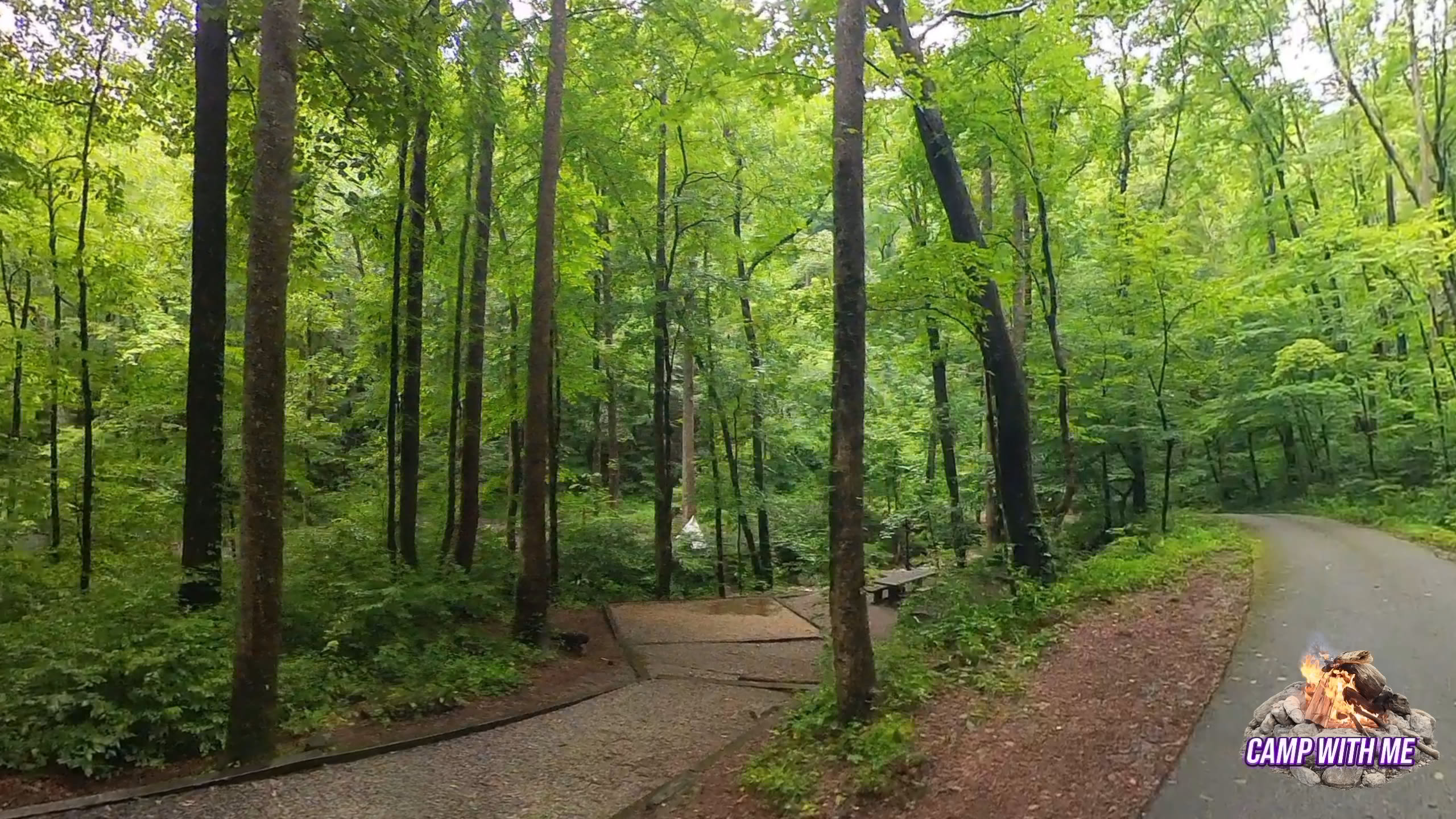 Andrews Cove Campground