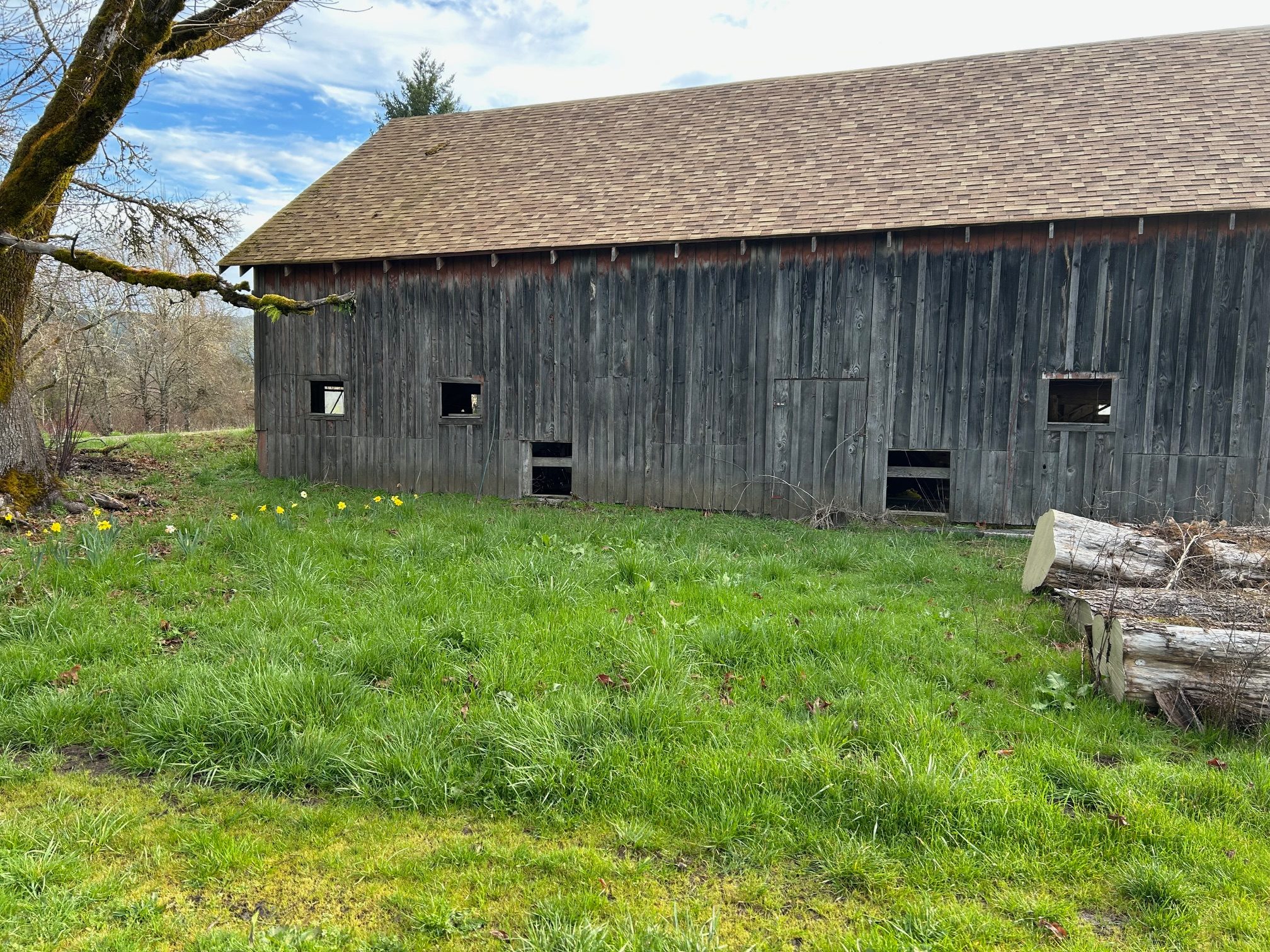 Tom's Alsea River Camp