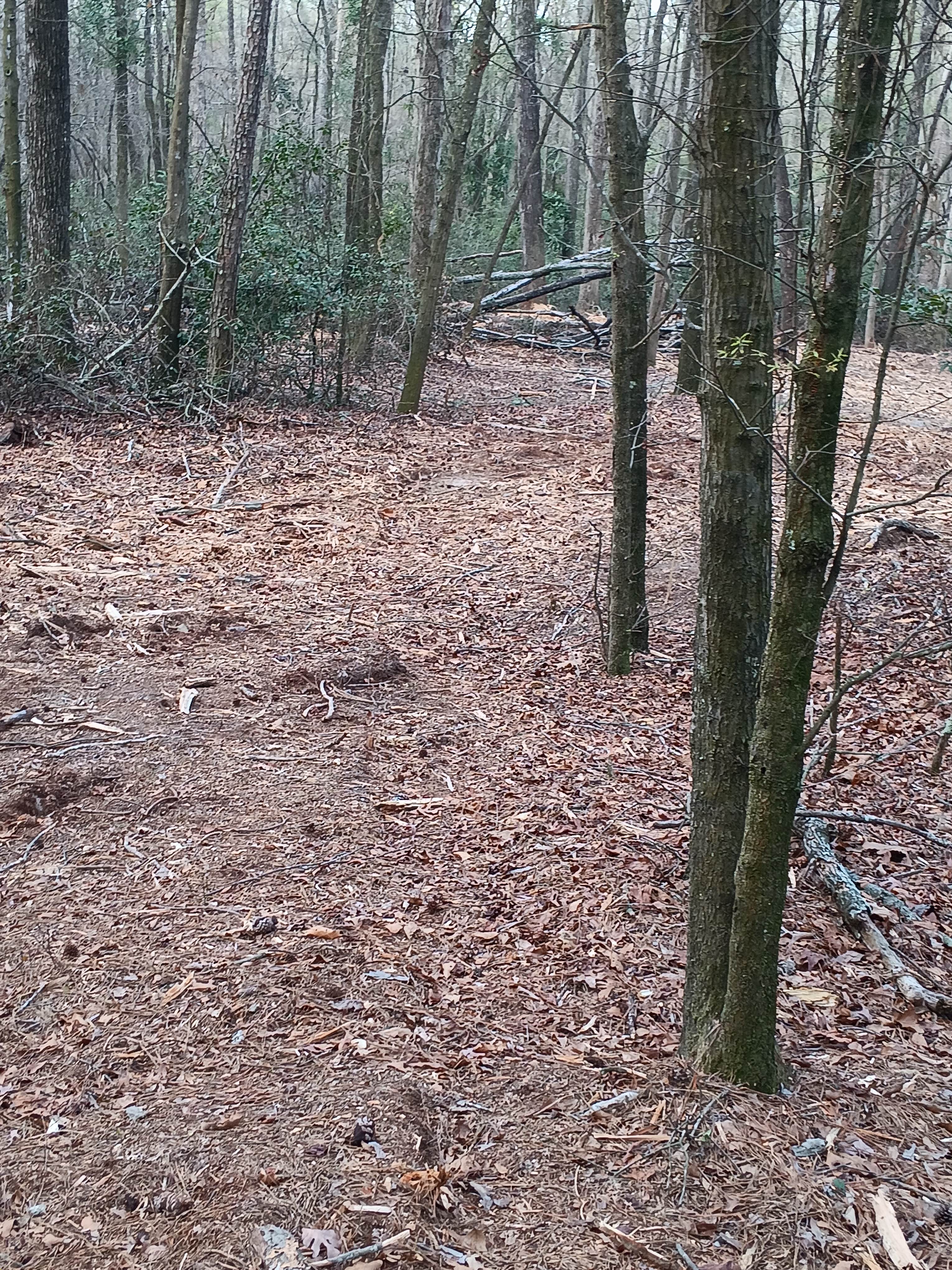 Victoria's Camp Aiken/Augusta Area