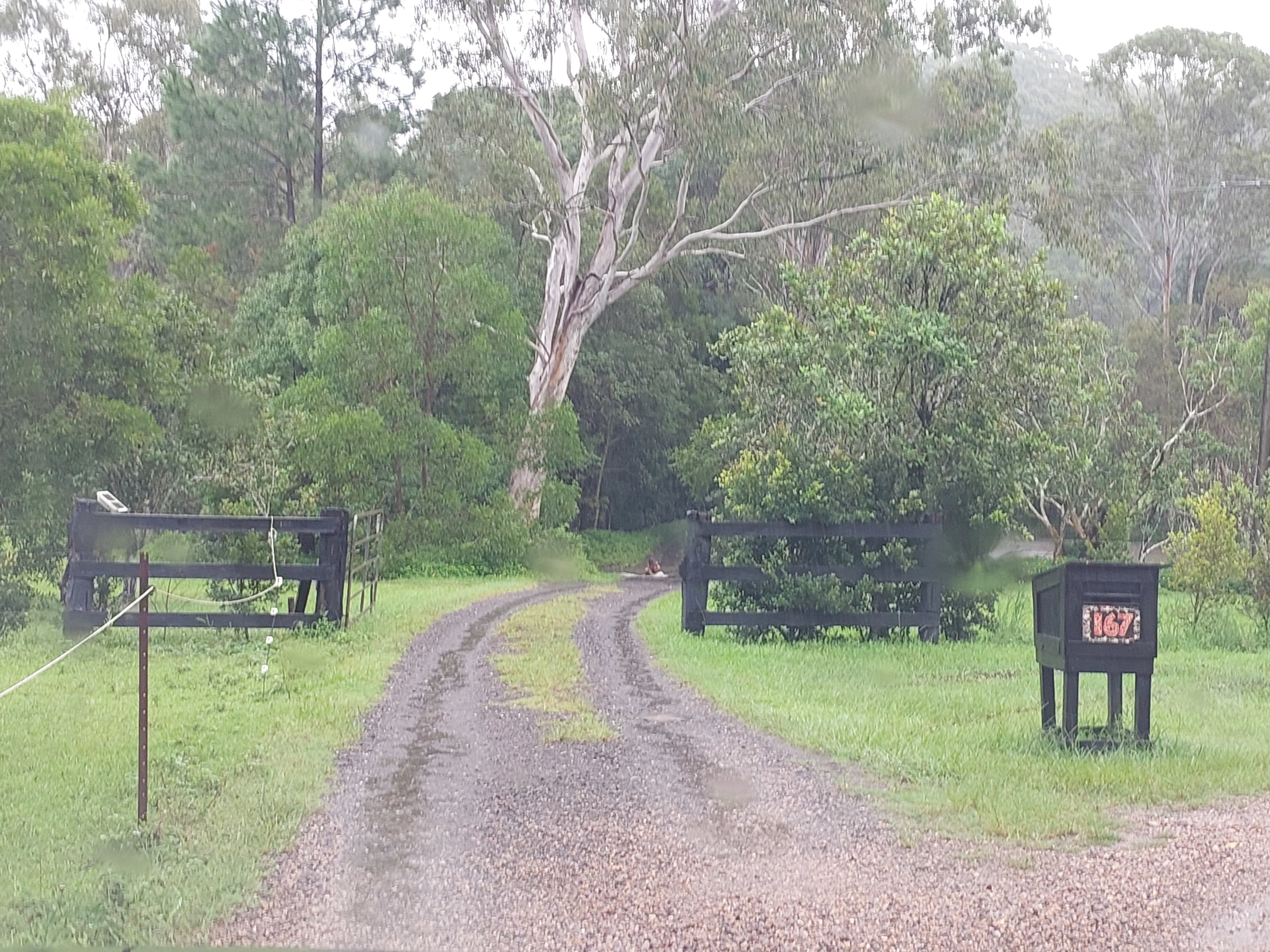 Dark Moon Hidden Forest Ridge