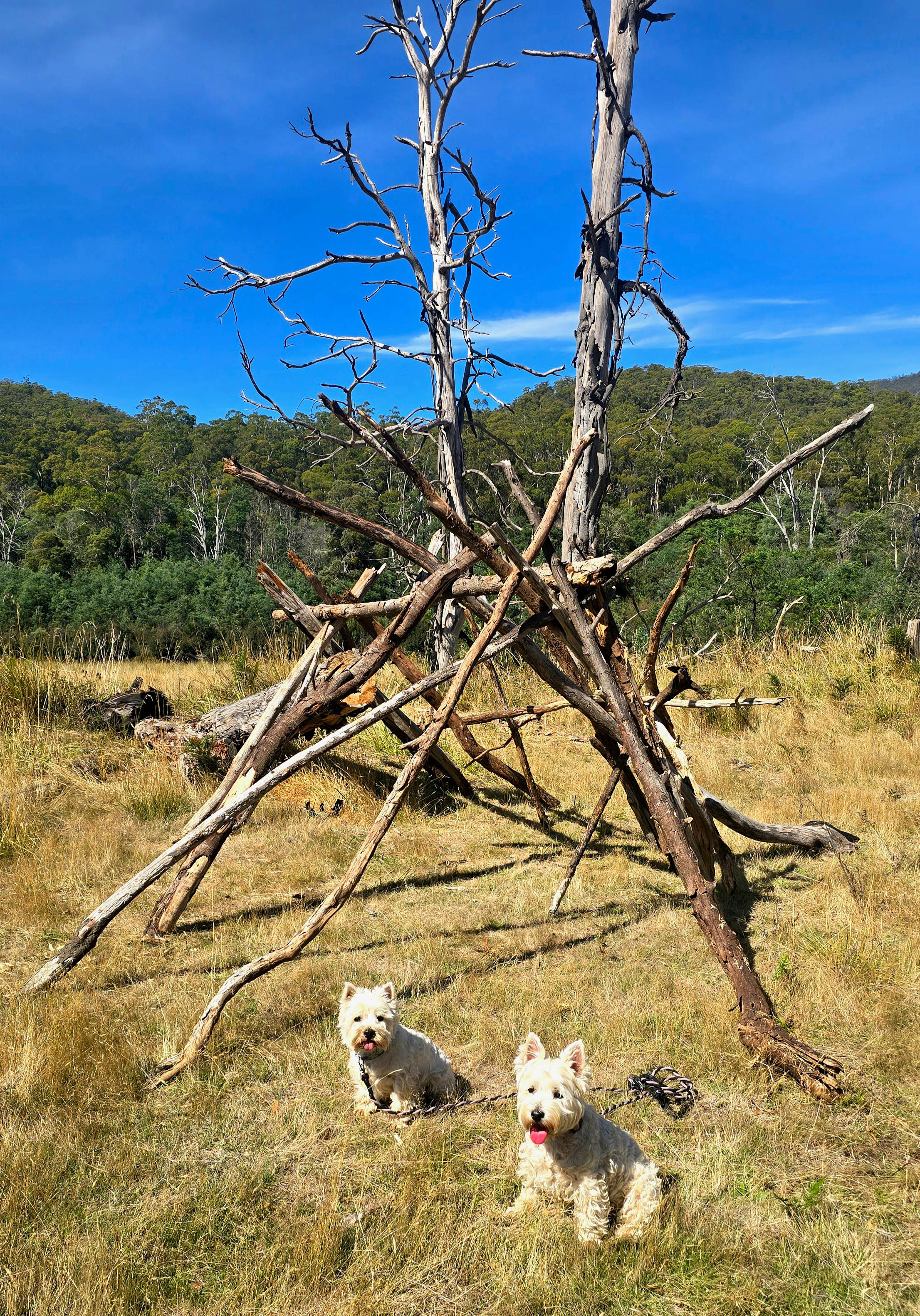 Stooge Farm Wilderness Retreat