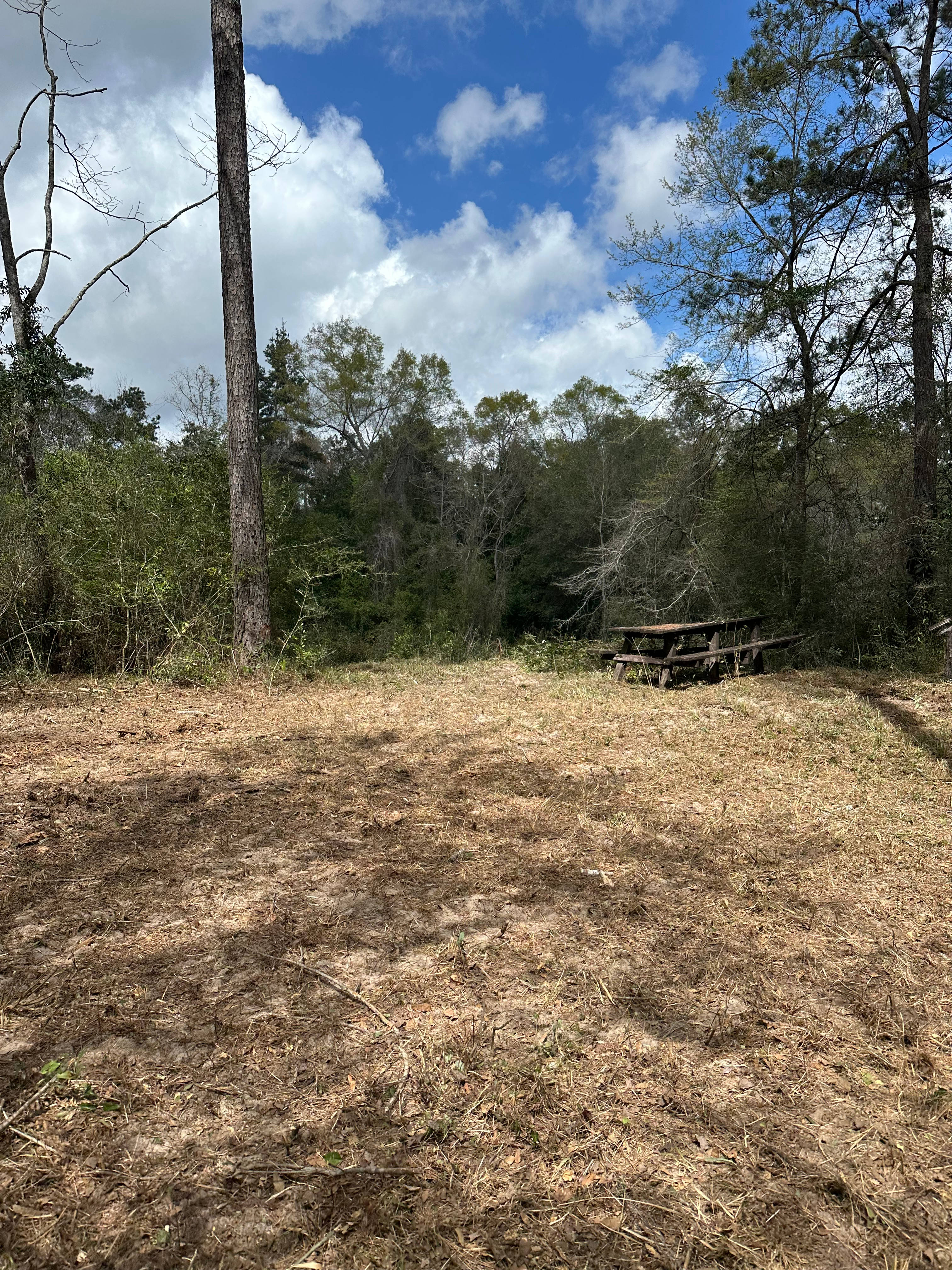 Wolf river fishing camp