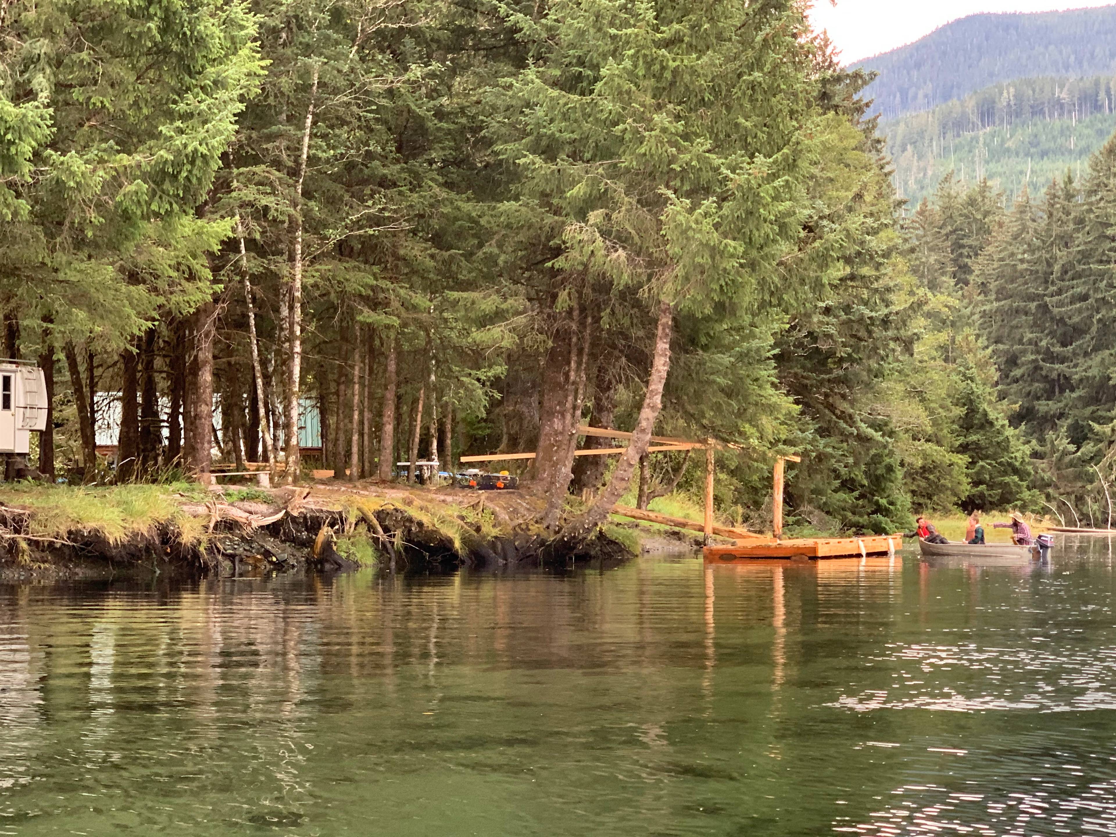 The Bearded Spruce Flats- ocean/river/old growth