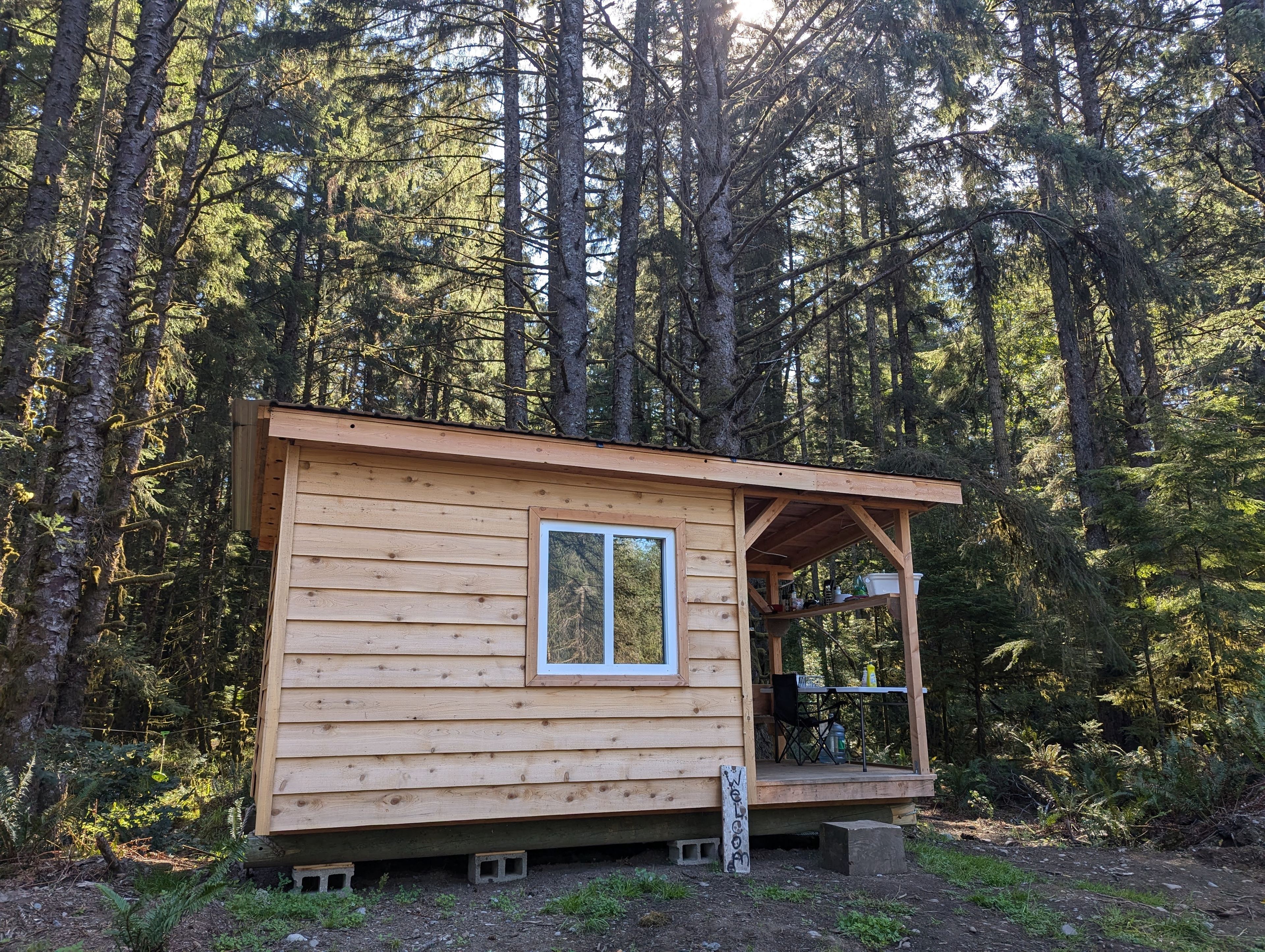 The Bearded Spruce Flats- ocean/river/old growth