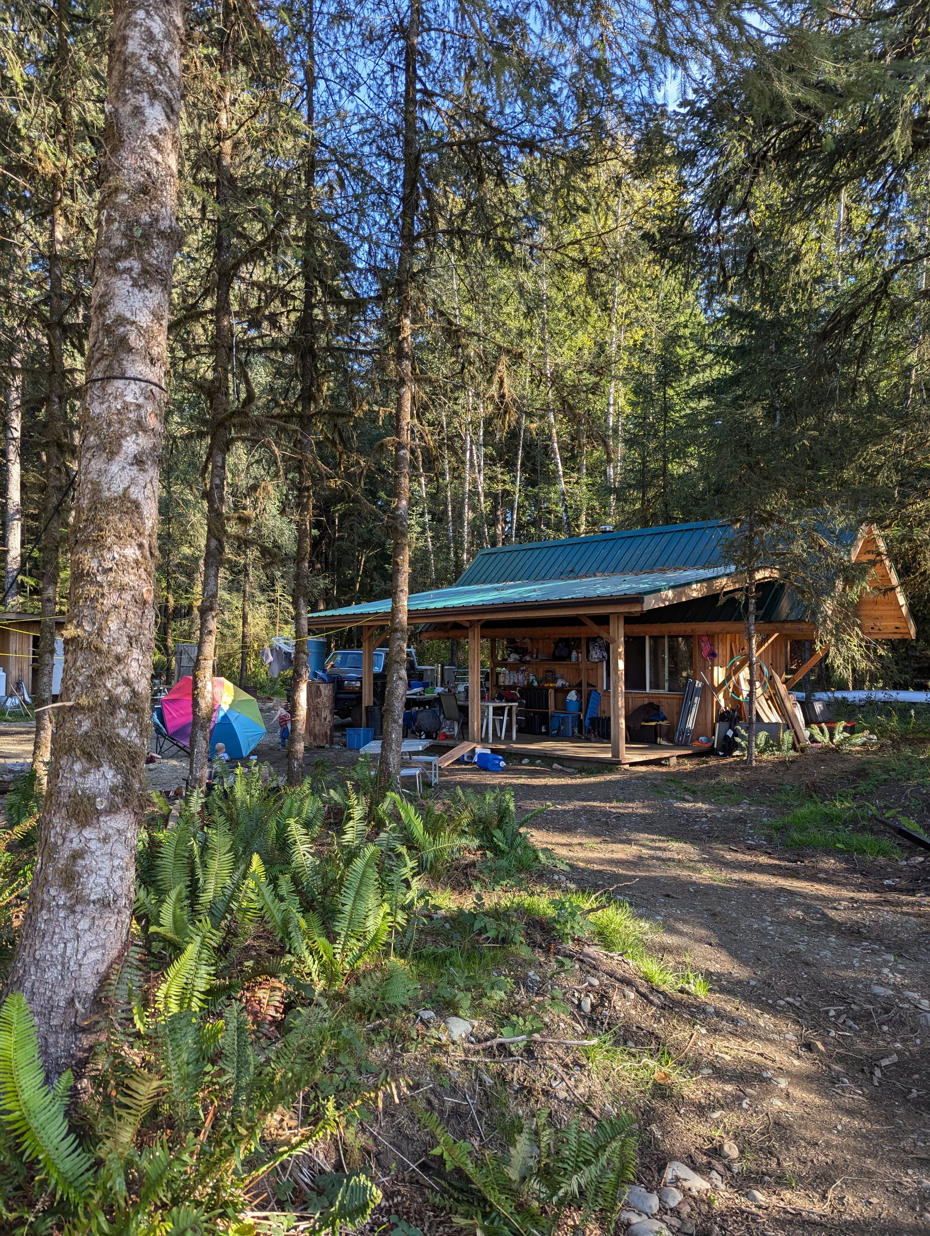 The Bearded Spruce Flats- ocean/river/old growth