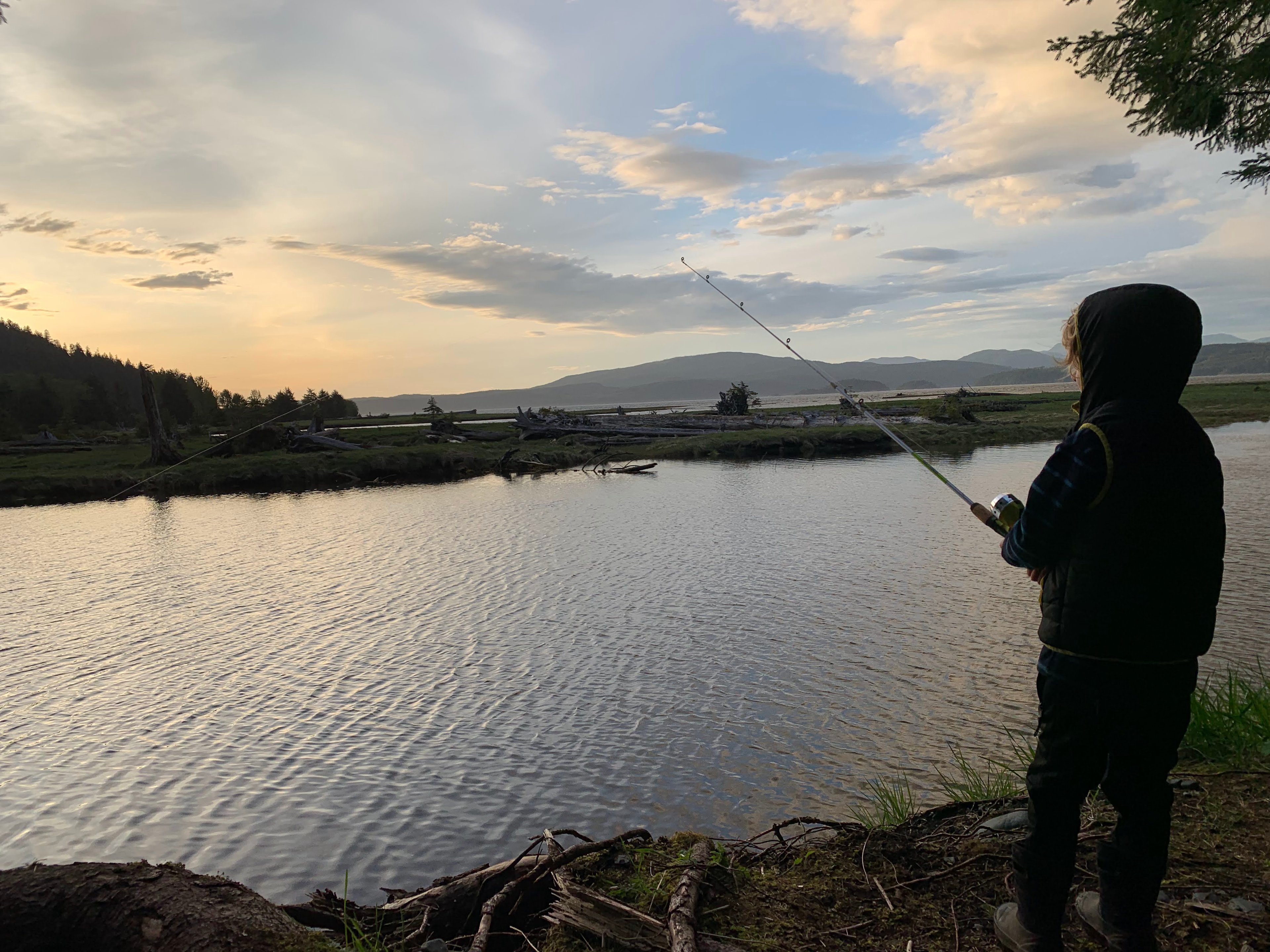 The Bearded Spruce Flats- ocean/river/old growth