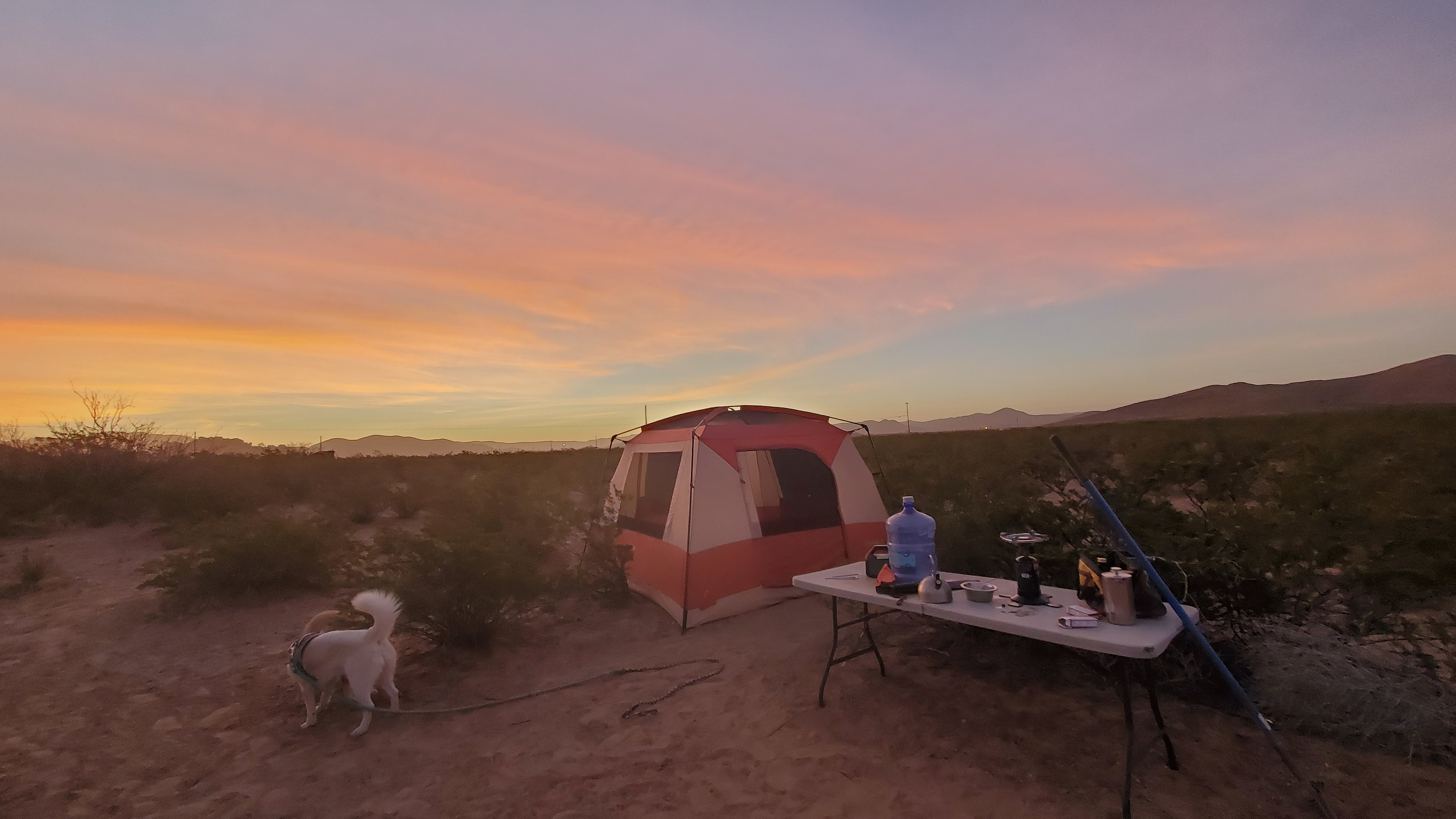 Sunrises are amazing 