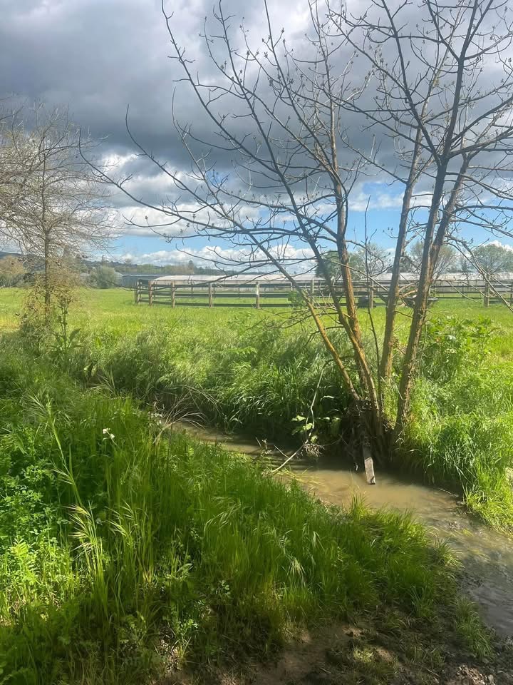 Saddle and Sip Retreat