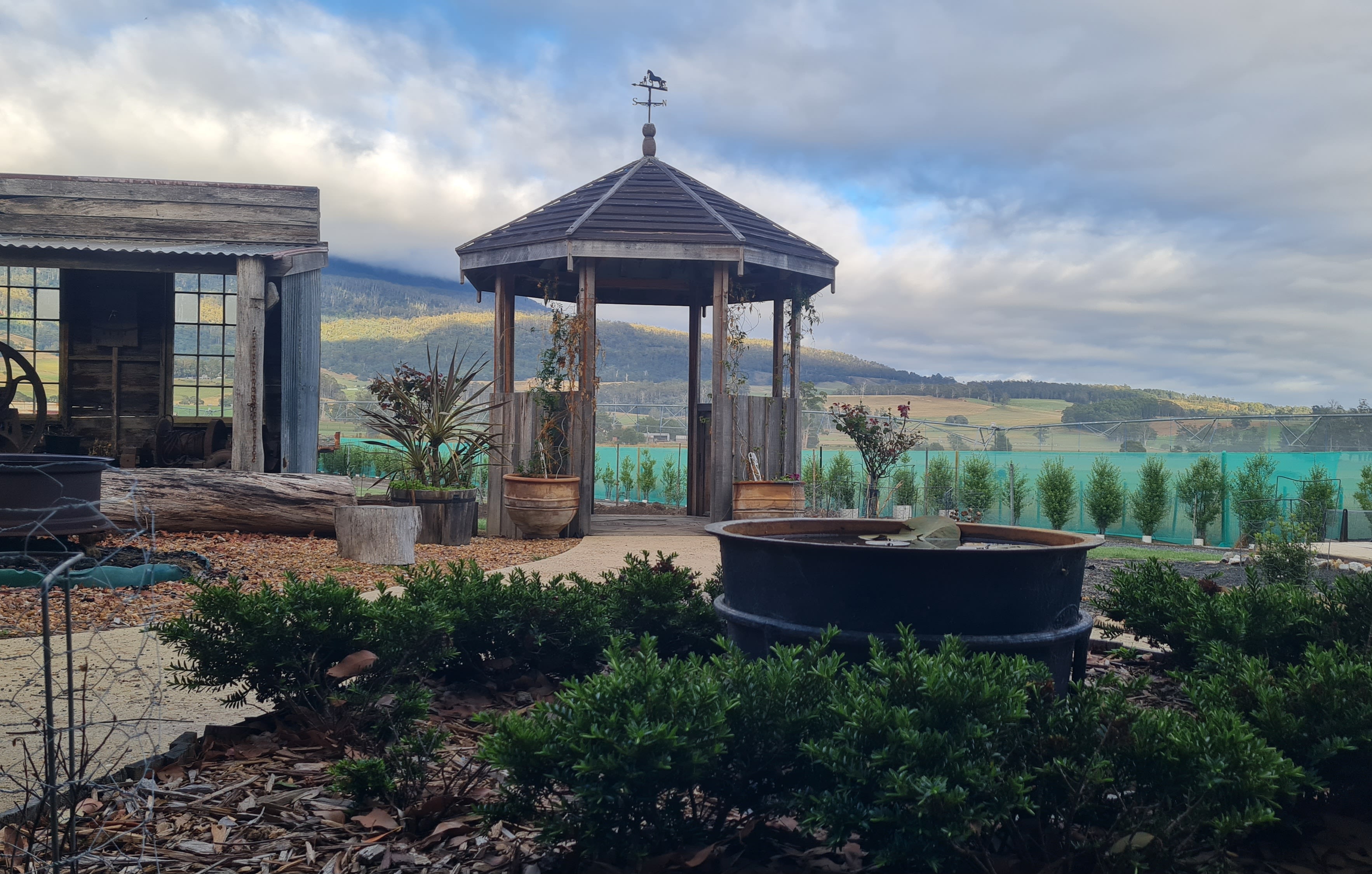 D. B. Thompson Estate