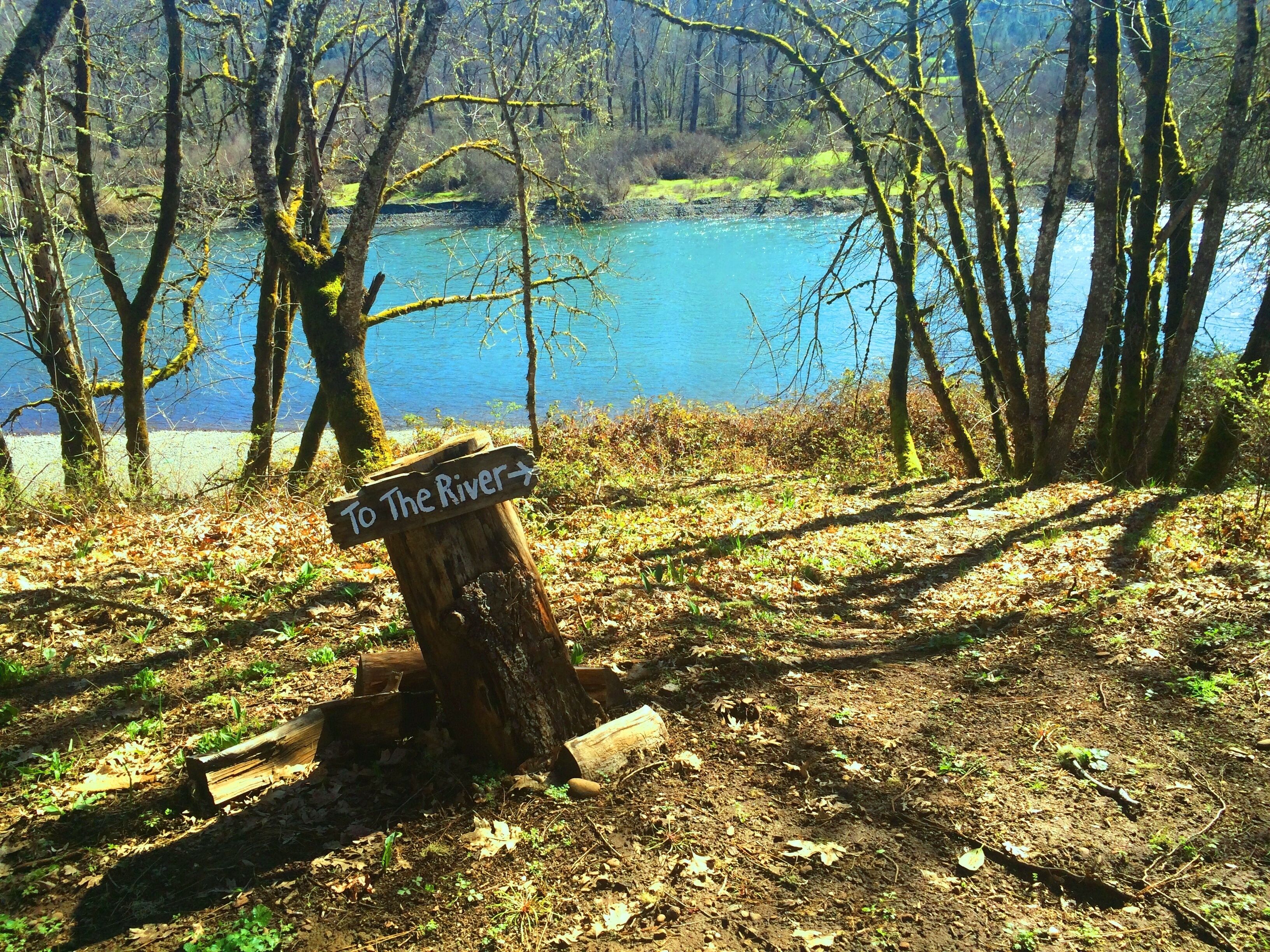 Peaceful Rogue River House